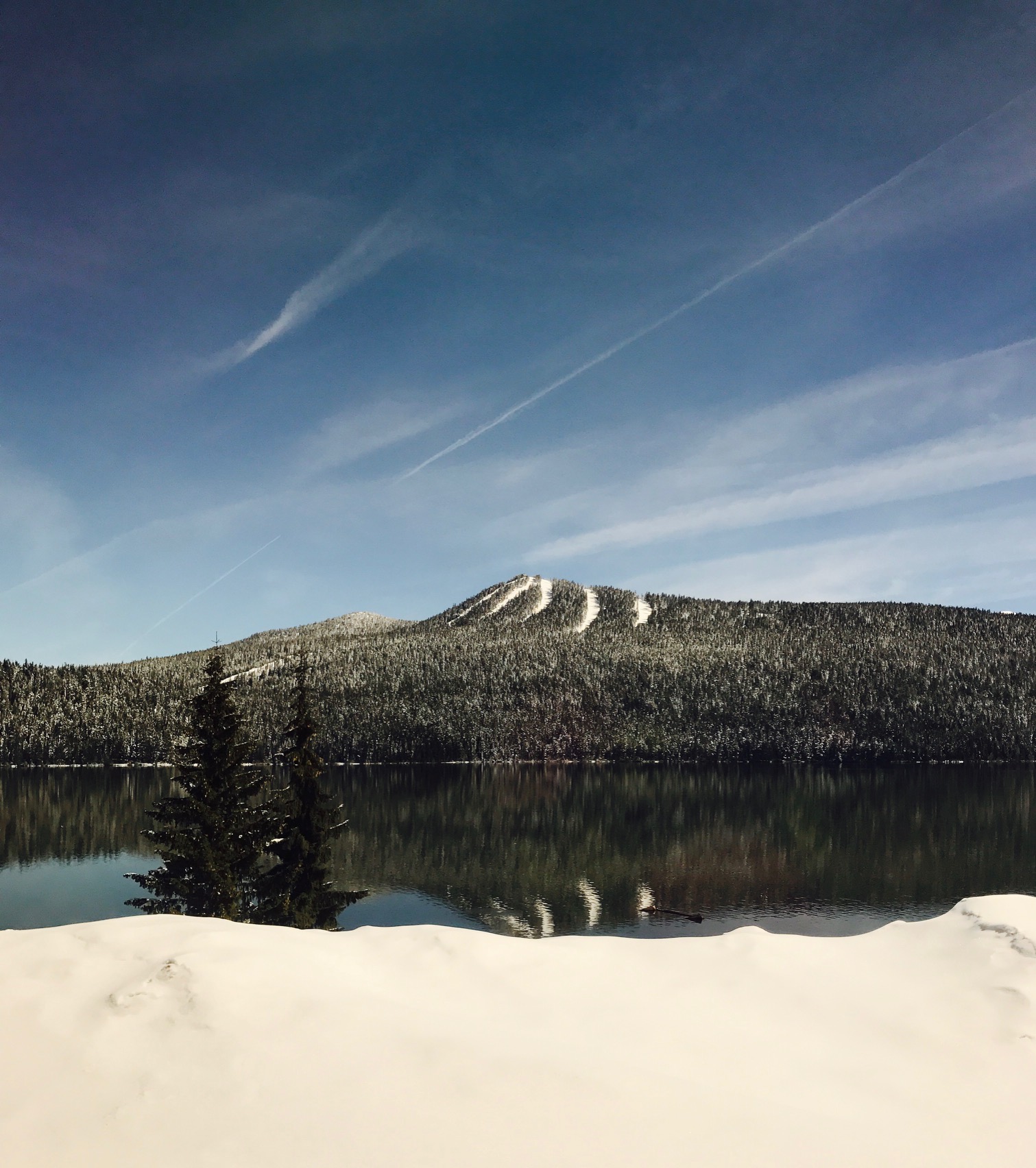 View from the train, somewhere on Willamette Pass, OR. 