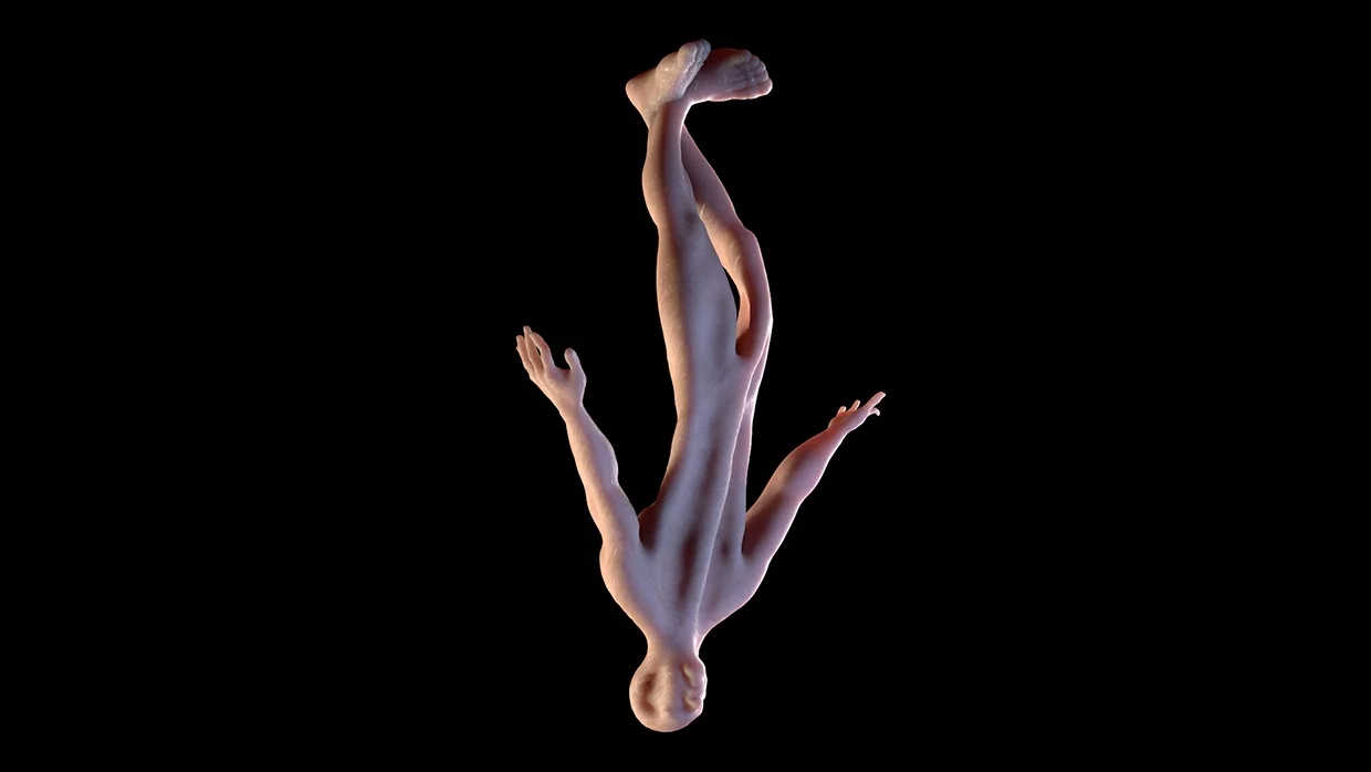 f7c0bf27115877.569576d614a41.jpg