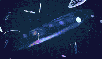2-2810673-1-326x191-5cb98235846c4b6f8cd0e710172f8518.gif