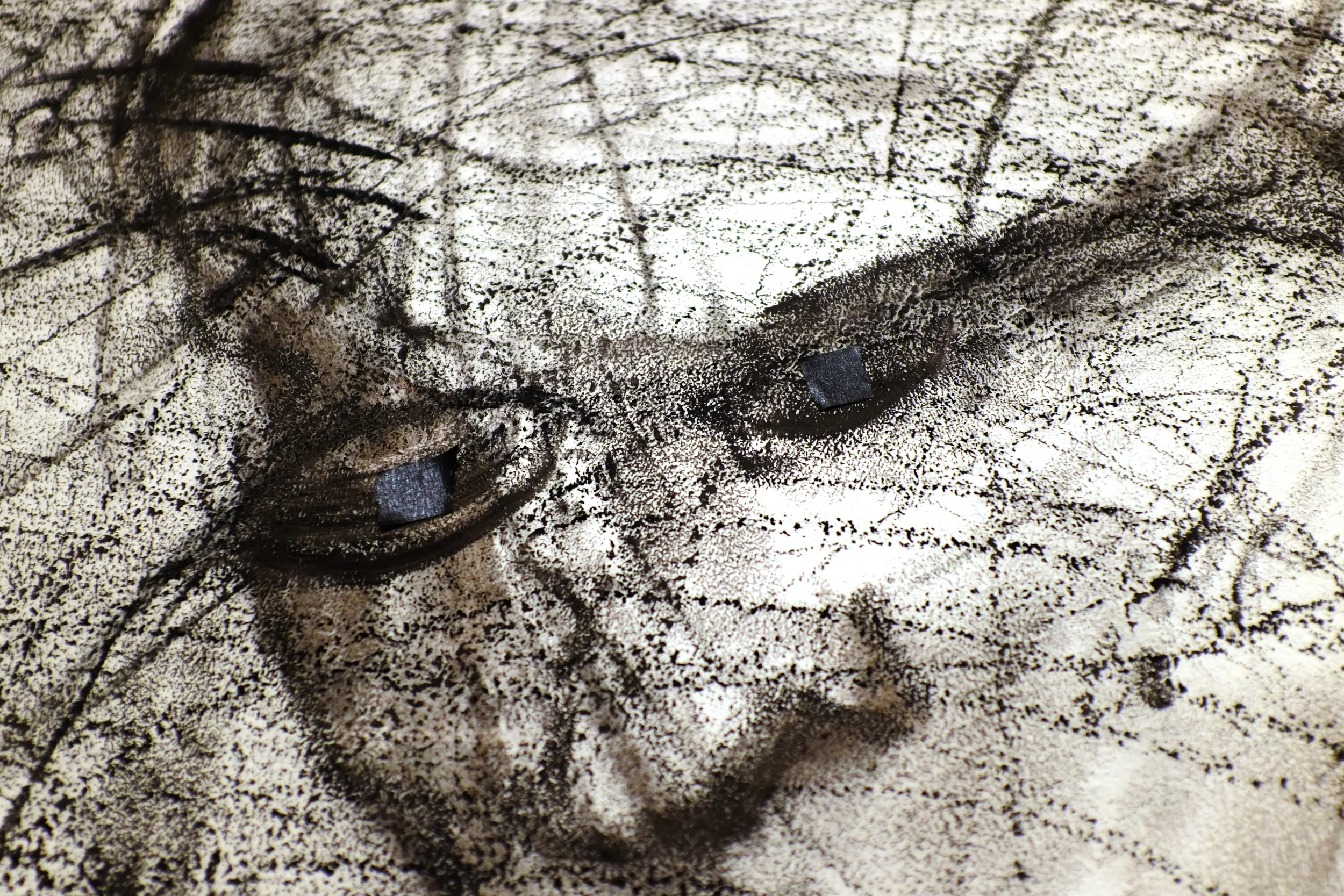  Detail image (Wall D)  A Path: Drills for Flight  digital image  2016 