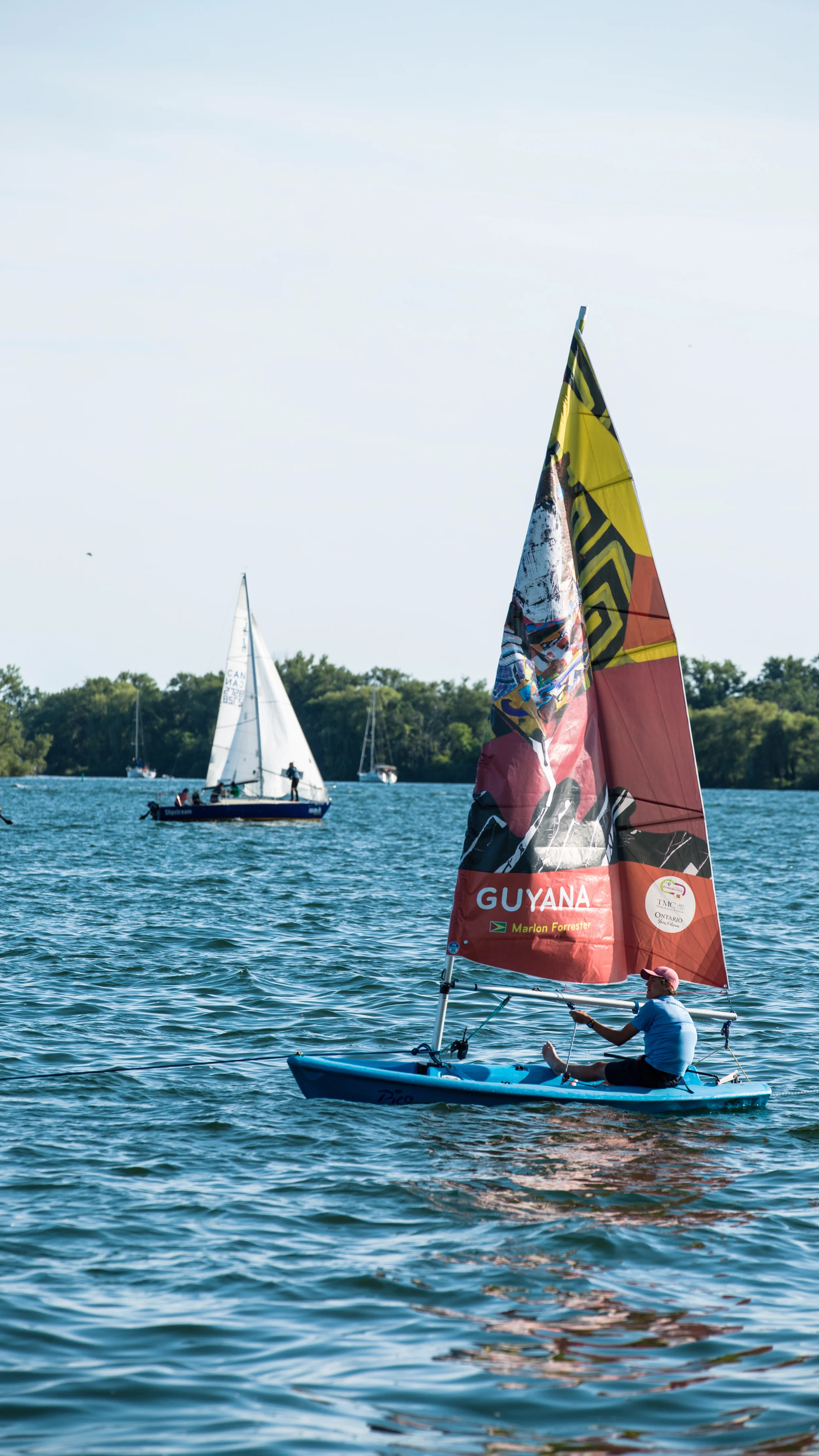  Guyana sail (PanAm Games)  acrylic on canvas&nbsp;  12'x3'x5'  2015&nbsp; 