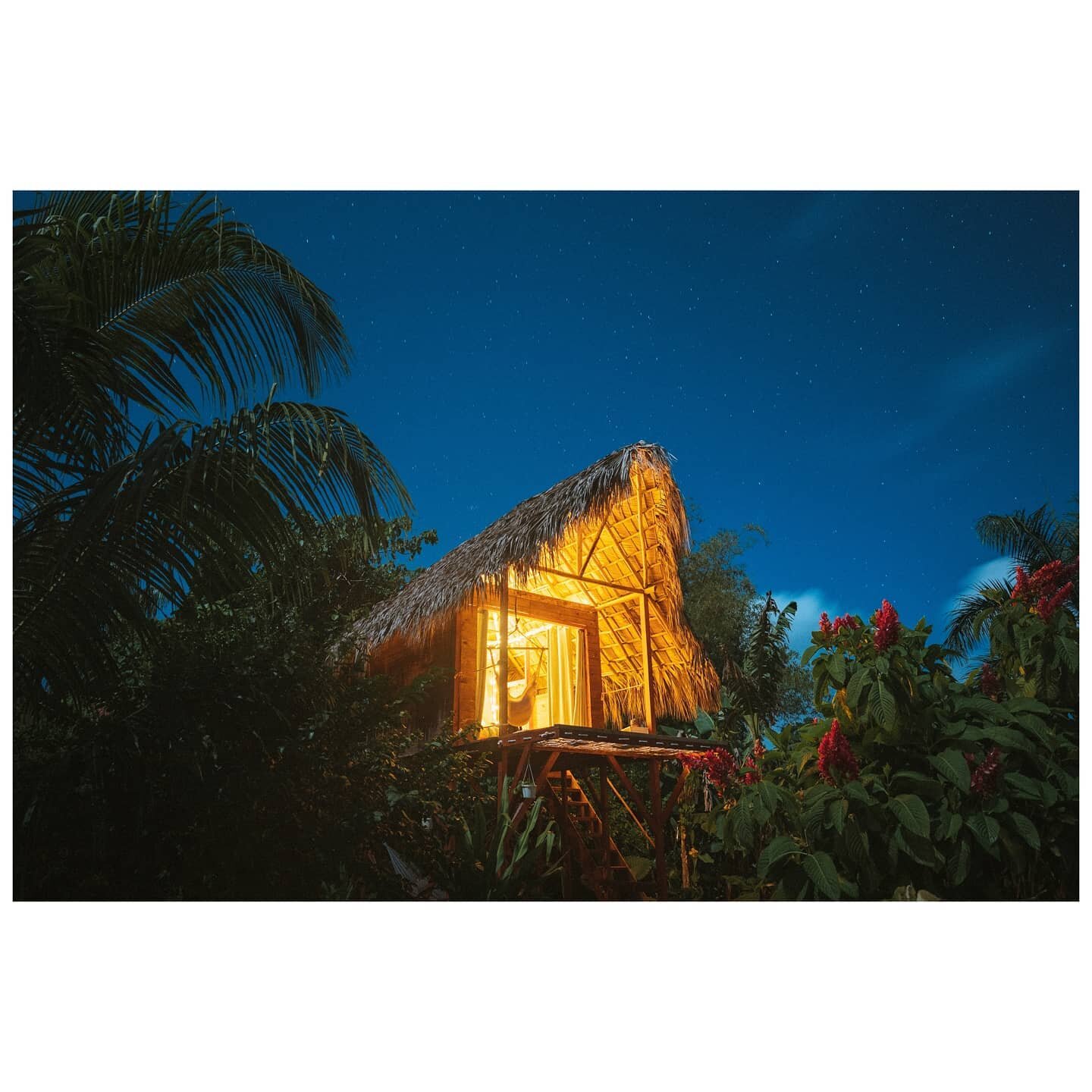 I felt like a kid again last night. 
3AM, moonlight, starlight, treehouse in the jungle...
I couldn't ask for a more magical feeling!

This image is composed of two shots: one exposed for the highlights and the other for the shadows so I get maximum 