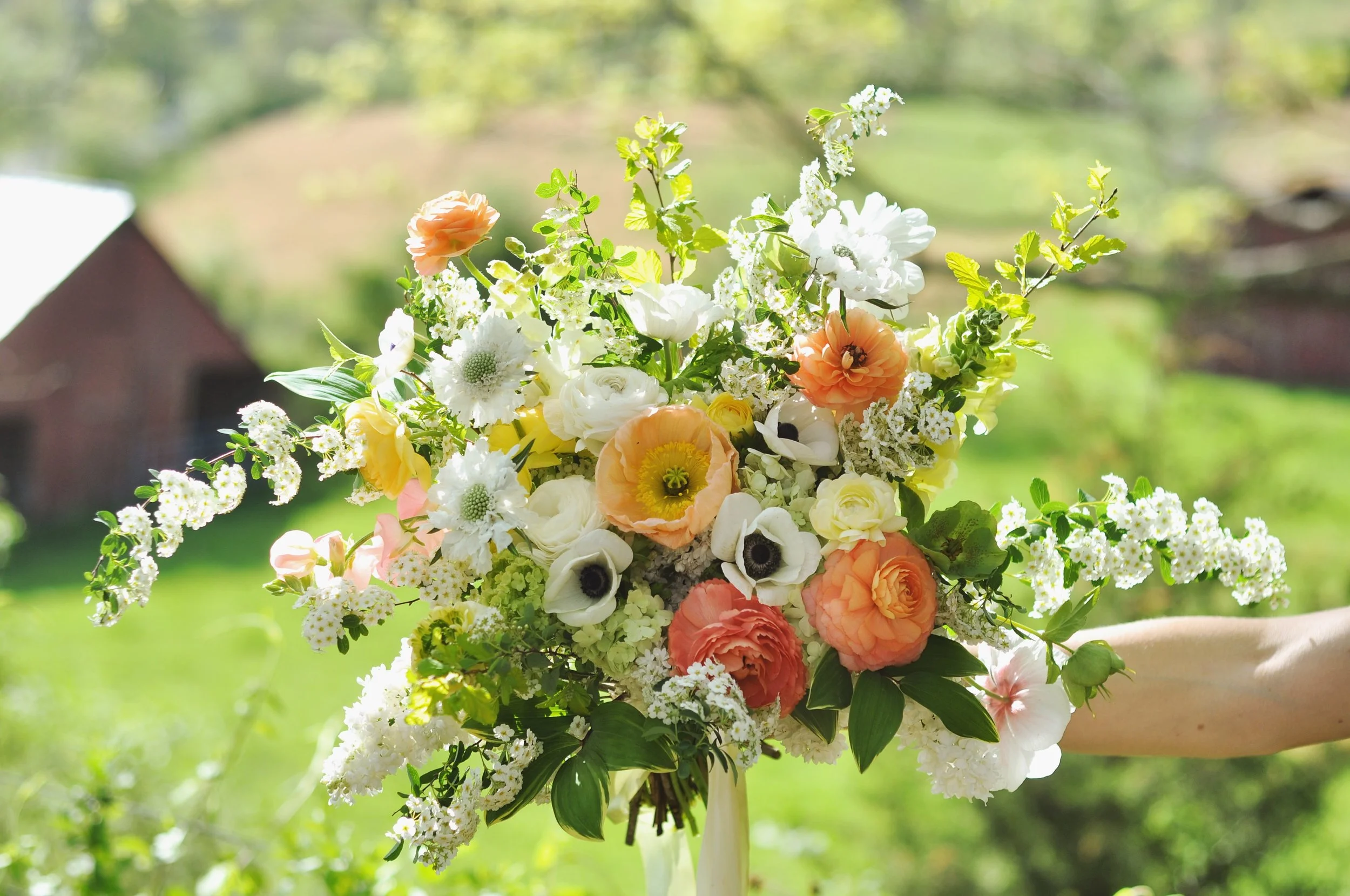 True Woman18 Video Conference