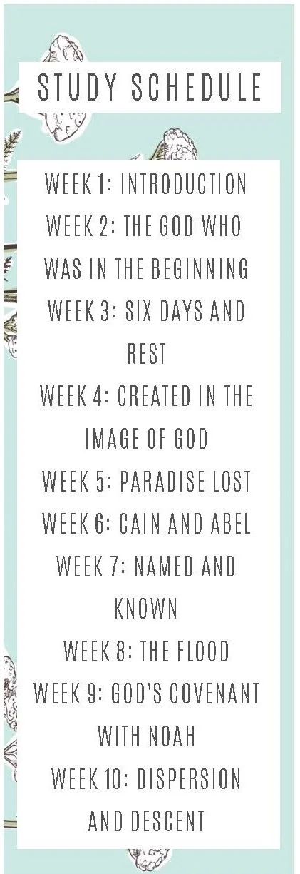 Genesis + God of Creation-2_Page_2.jpg
