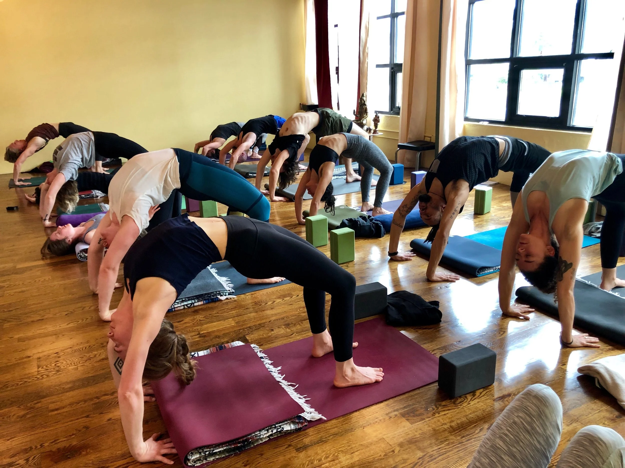 Winter Morning Yoga Immersion - The Intention is Love