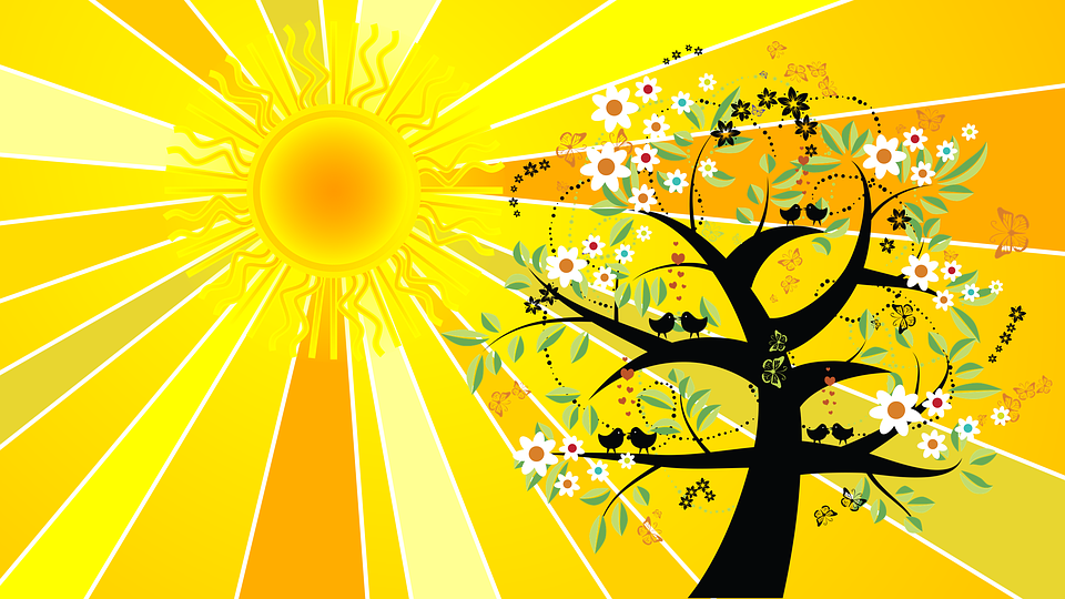 Summer Solstice: 108 Salutations