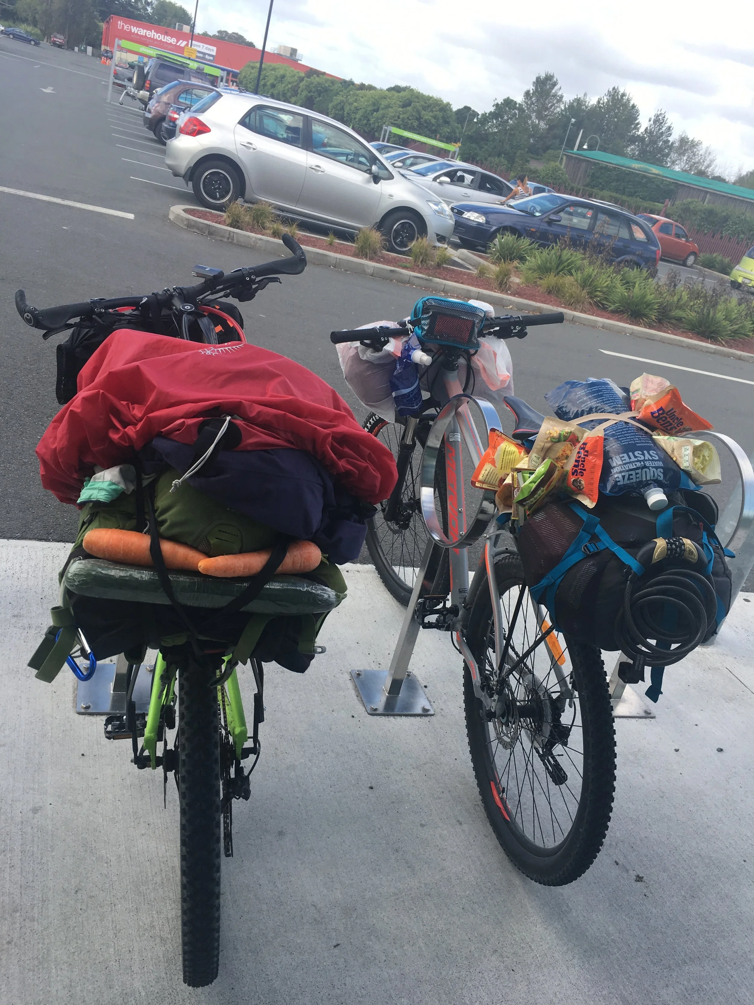 Day 4: Waipoua to...almost Pouto Point