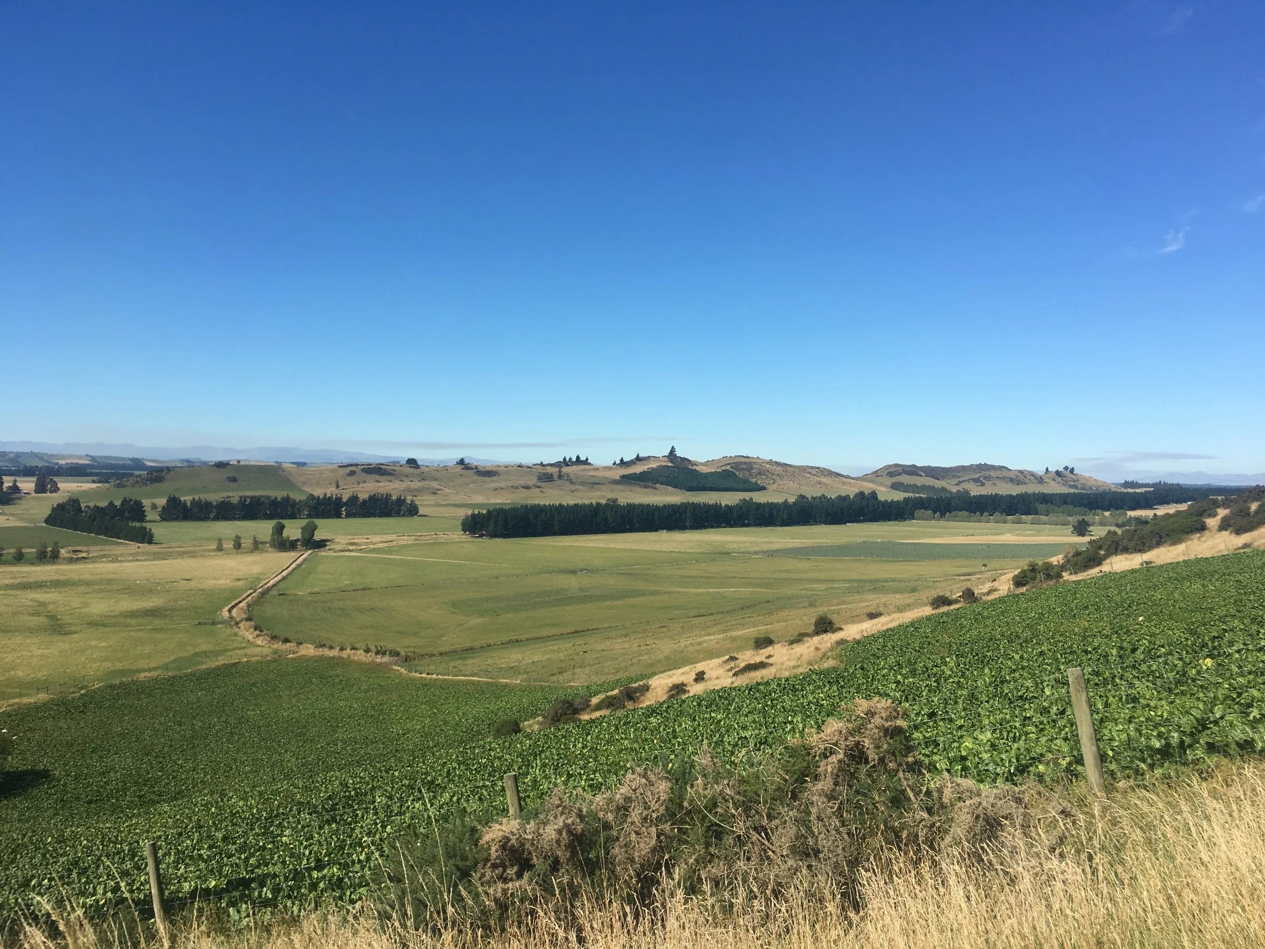 Day 28: Windy Winton...almost there!