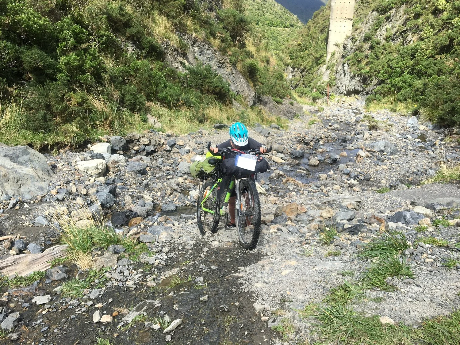 Day 16: Wellington!!!!!!...In Which We Finish the North Island