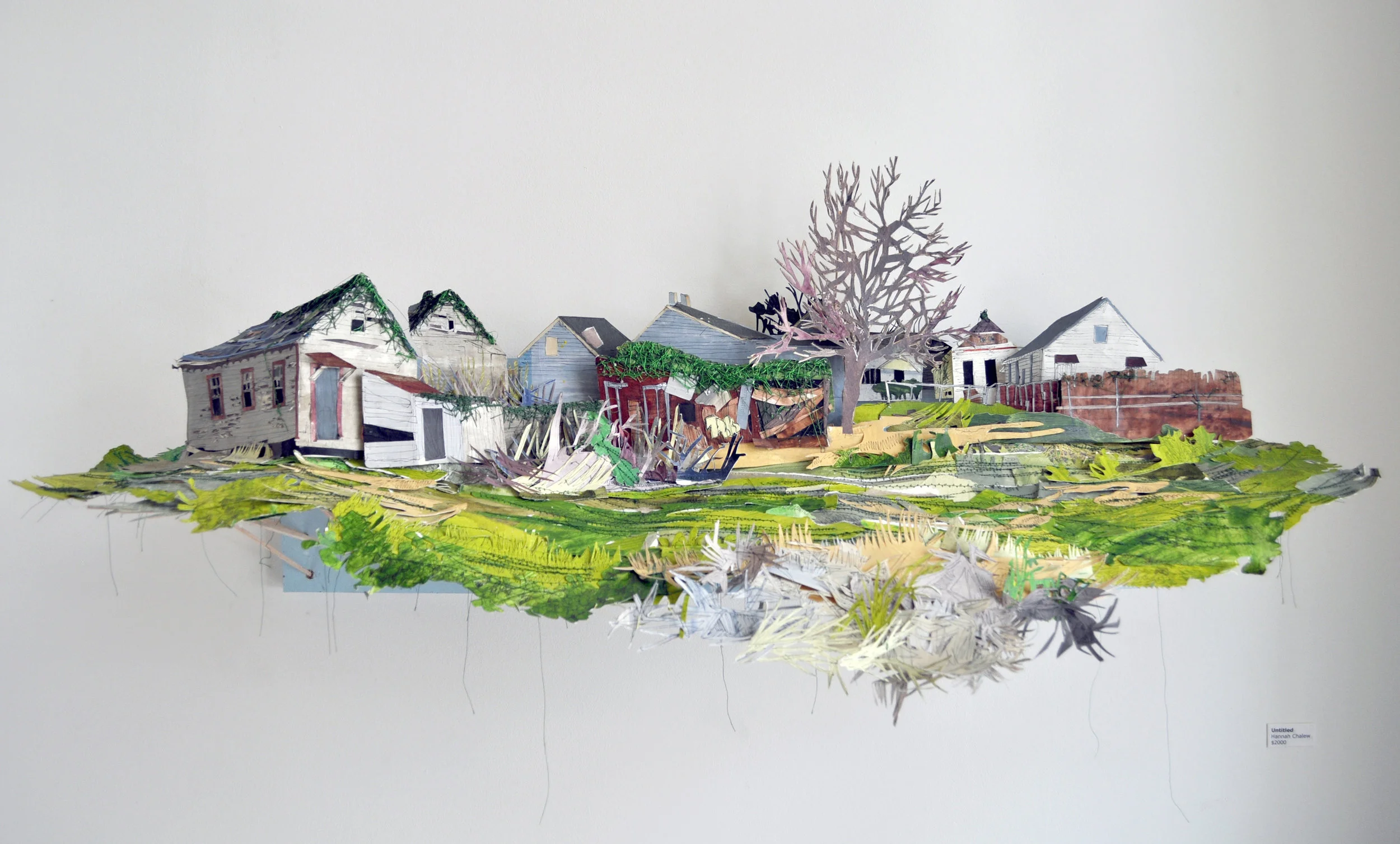shaped_land1.jpg