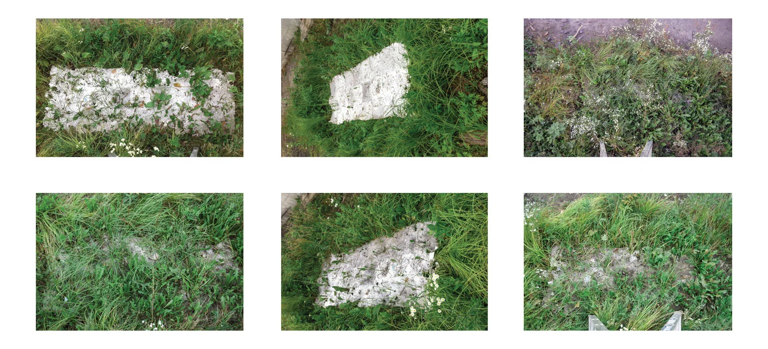 Documentation of Trash Paper becoming Irreversible