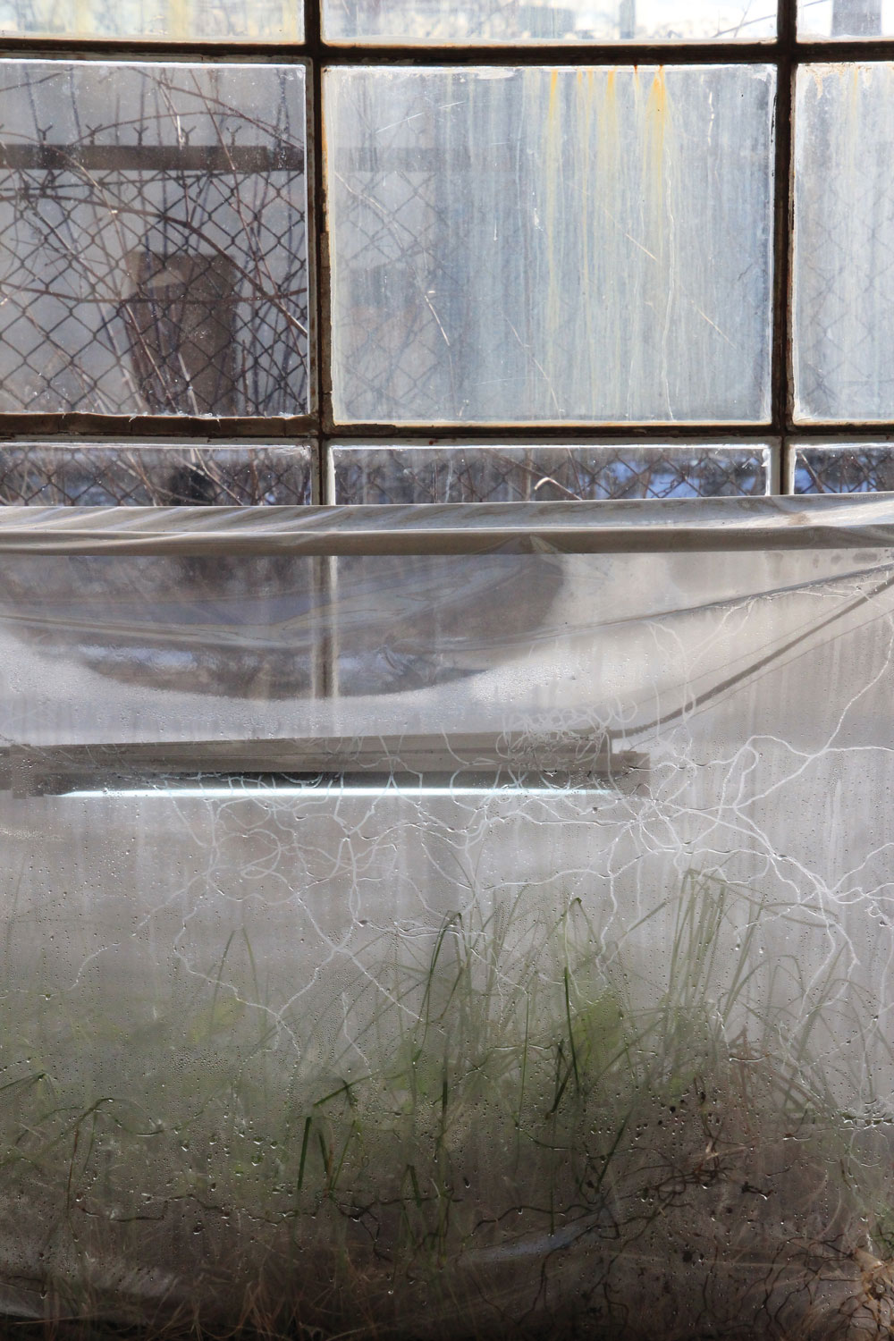 Detail of Irreversible