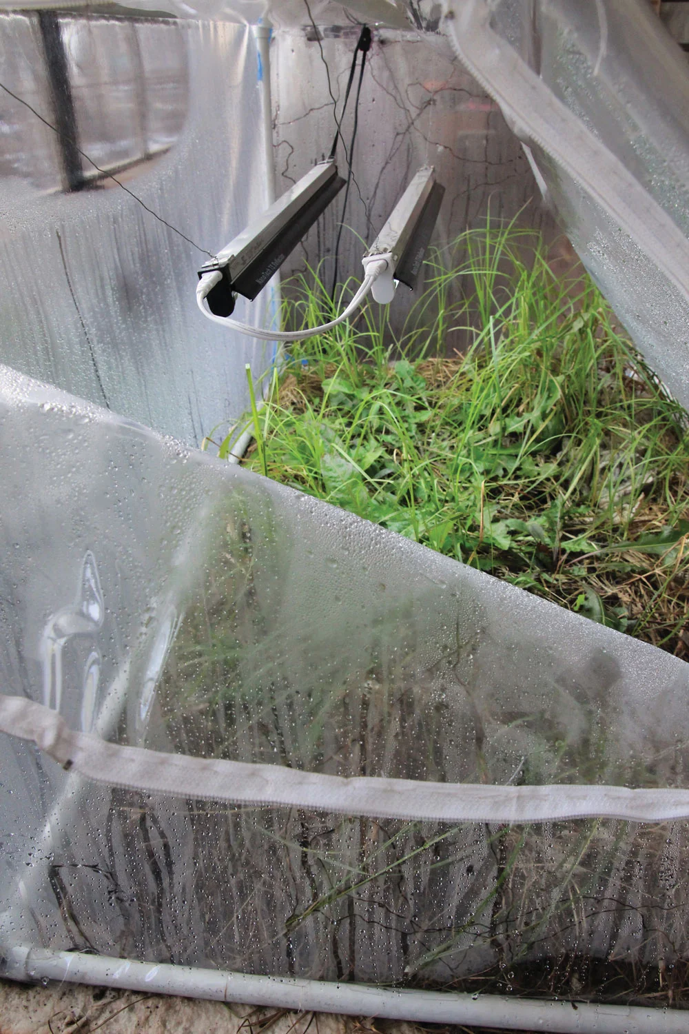 Detail of Irreversible