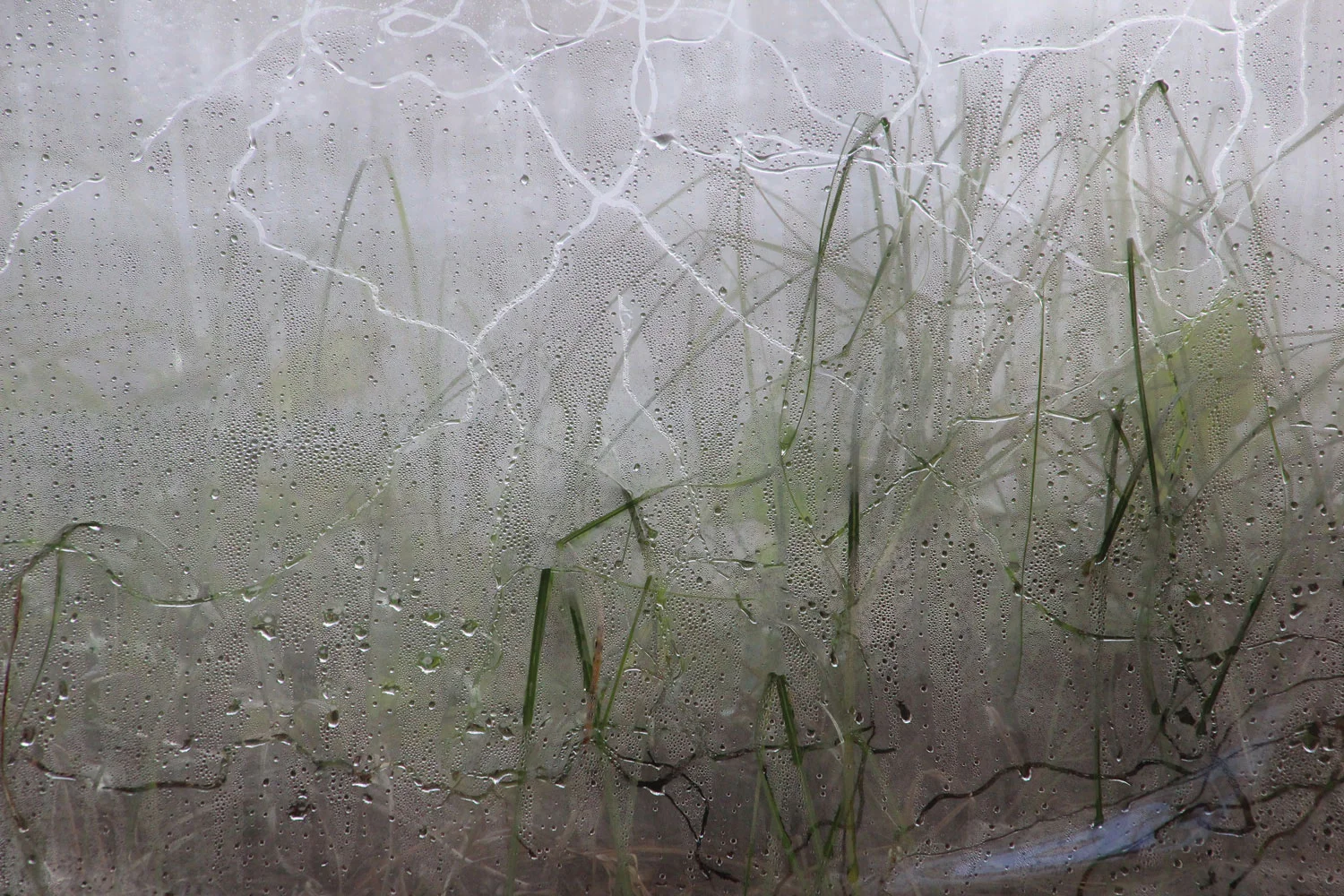 Detail of Irreversible