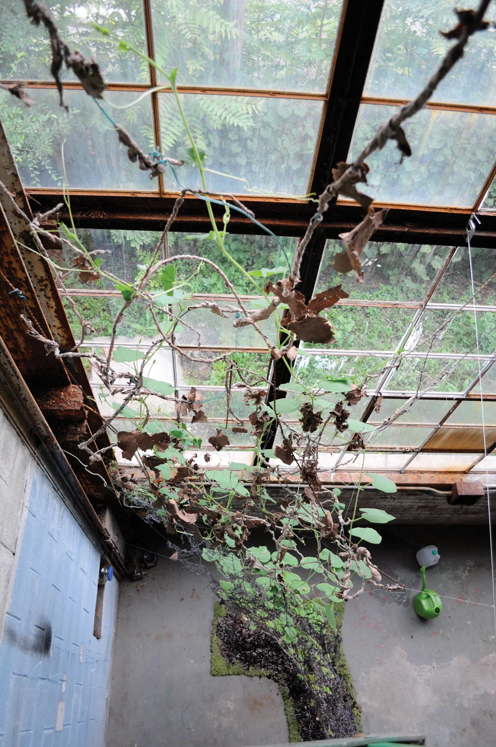 DSC_0028.jpg