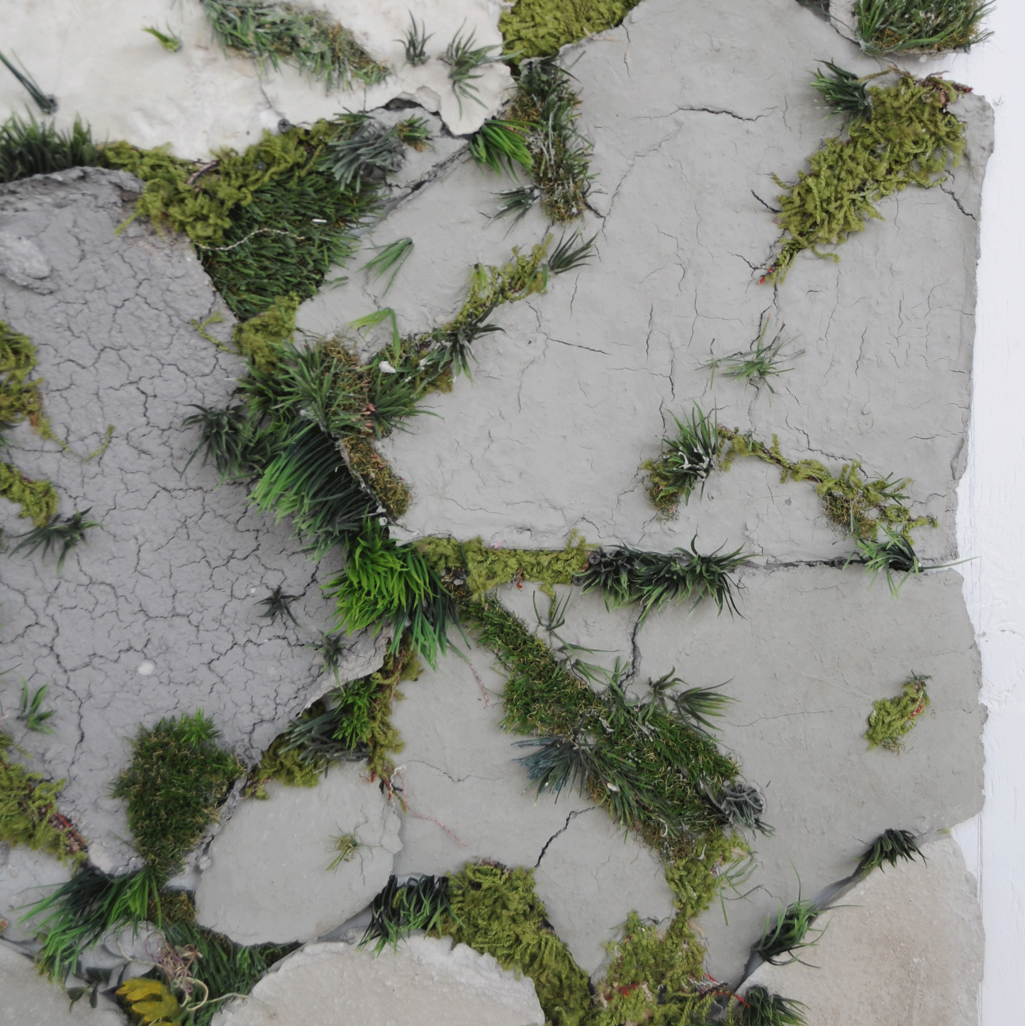 discontinuity_detail2_detail2.gif