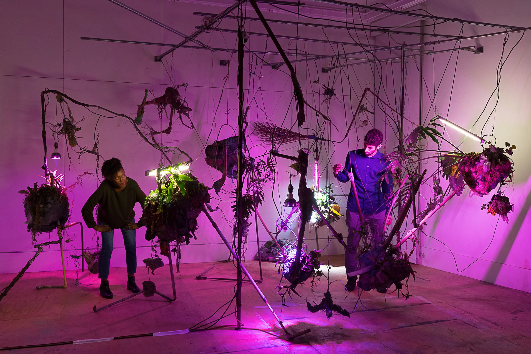 entropical futures