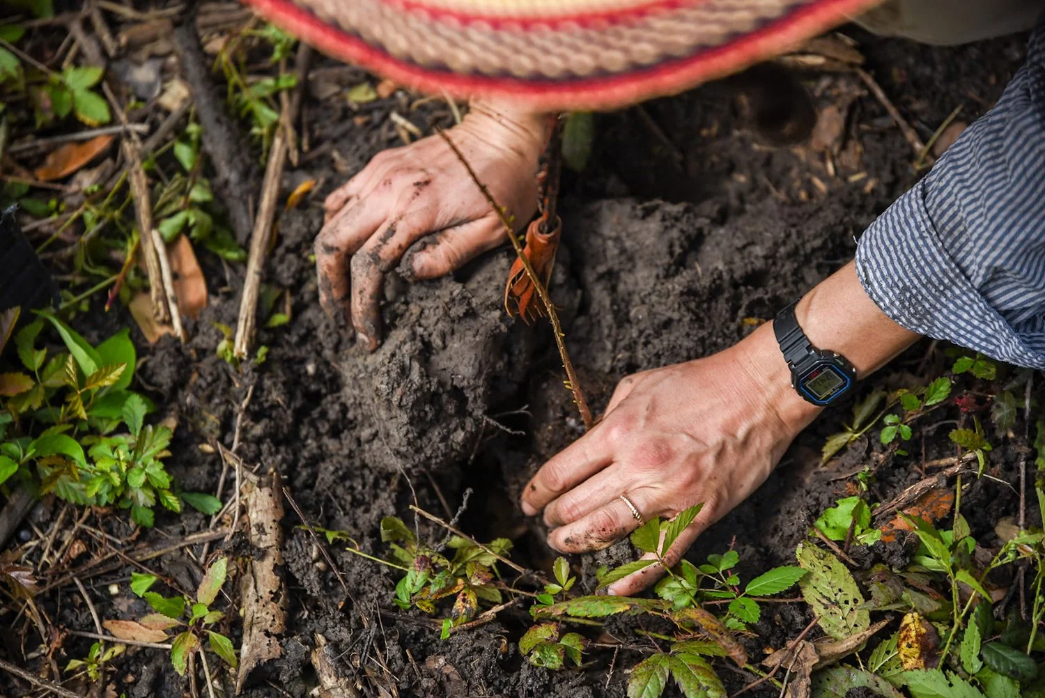 Orphan Well Gamma Garden