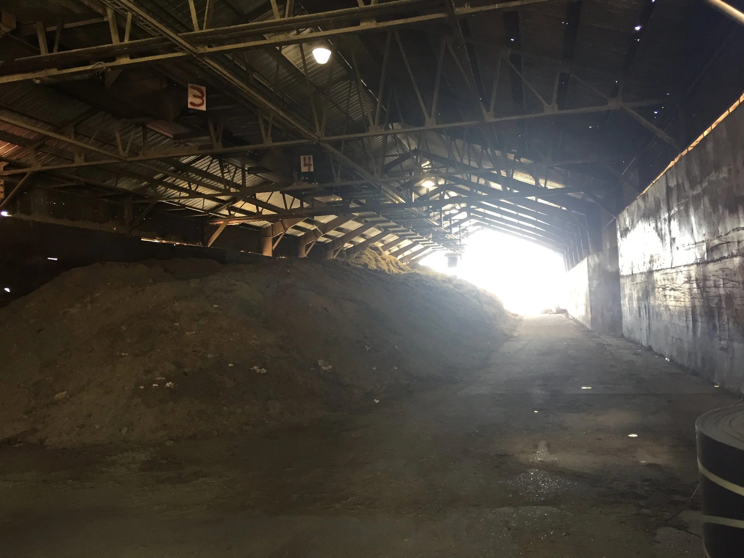 Mountain of waste bagasse at sugarcane refinery (Copy)