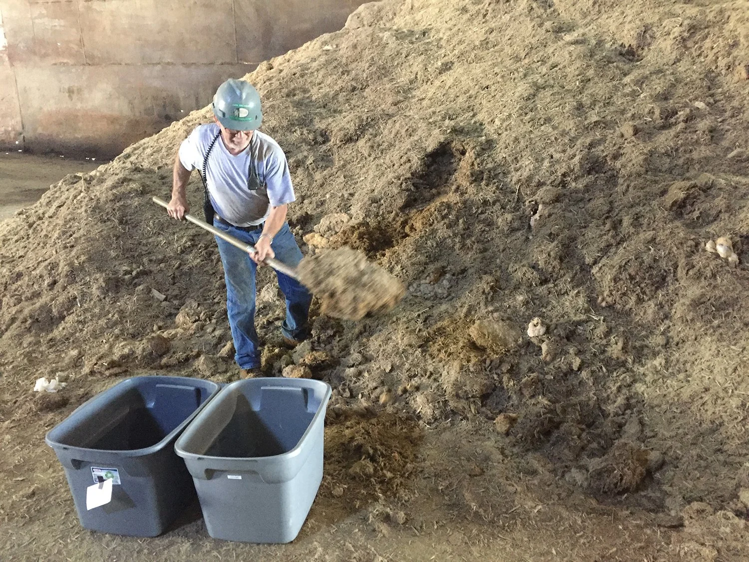 web_papermaking_collecting_bagasse 2.jpg