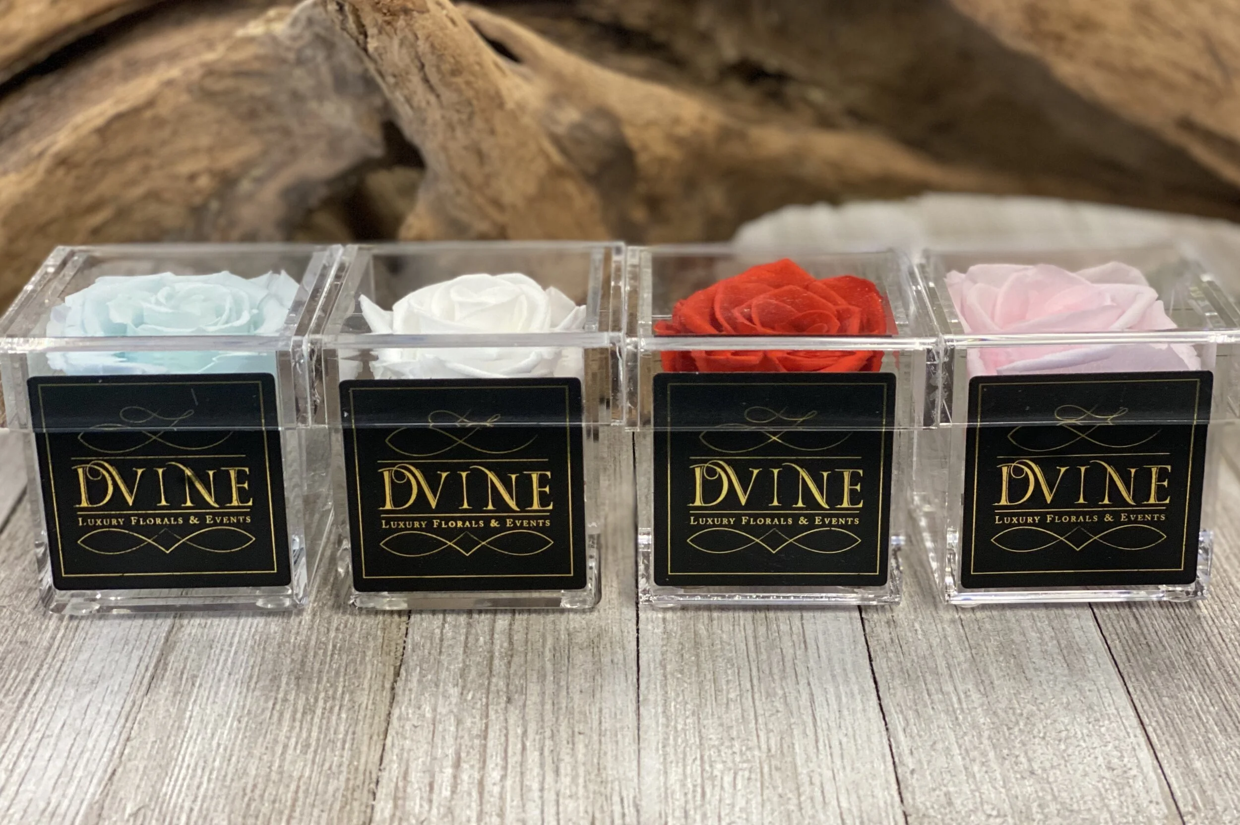 Timeless Single Roses