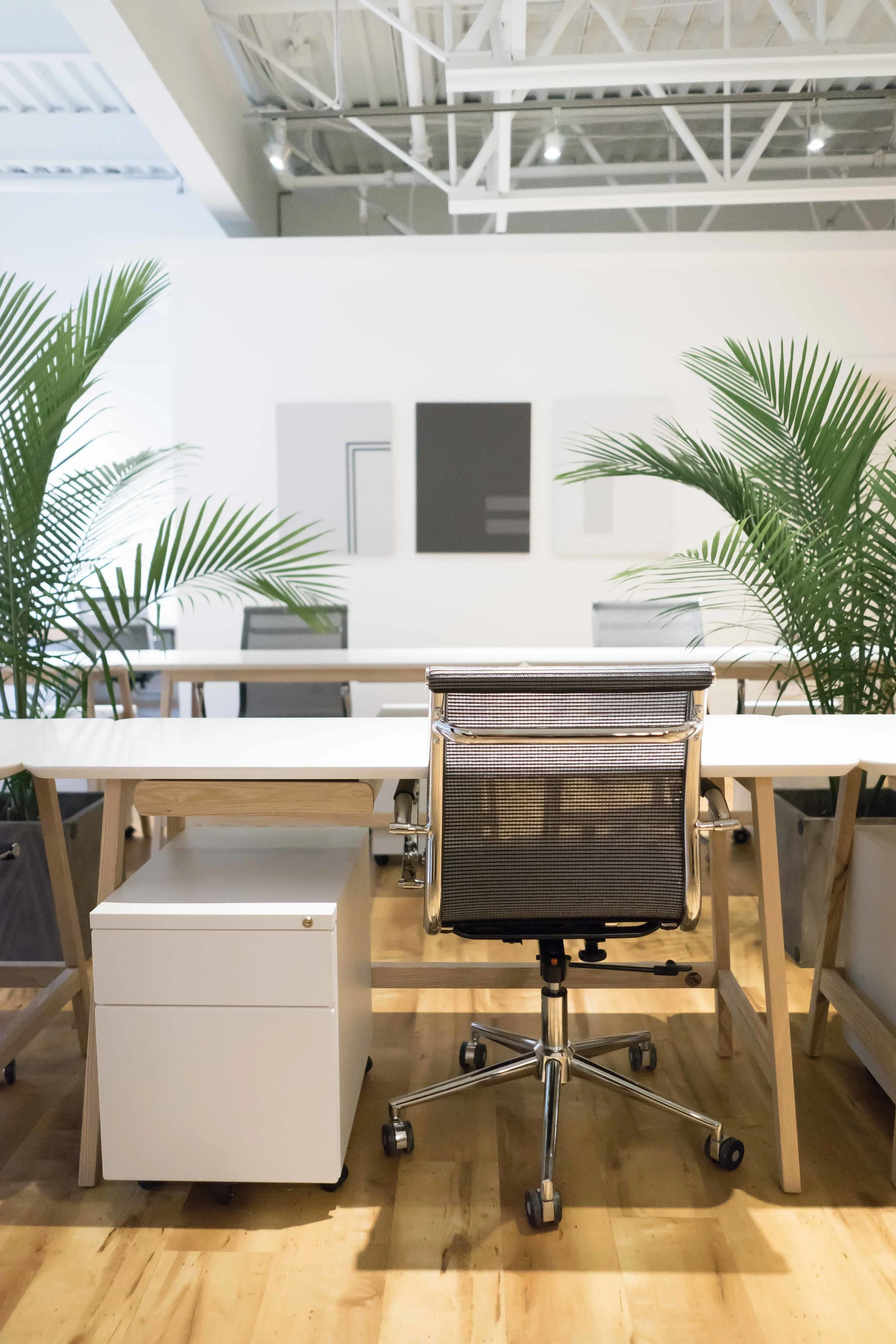 Workspaces-2.jpg