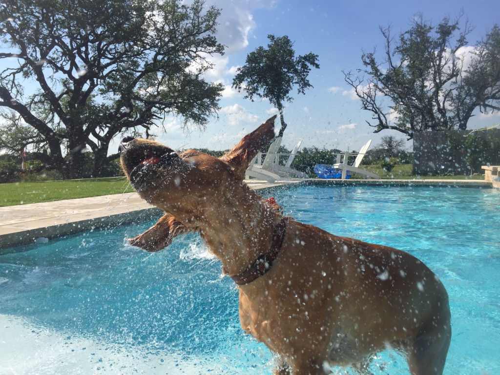 He loves to swim! 