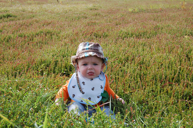 Max "enjoying" the bog (: