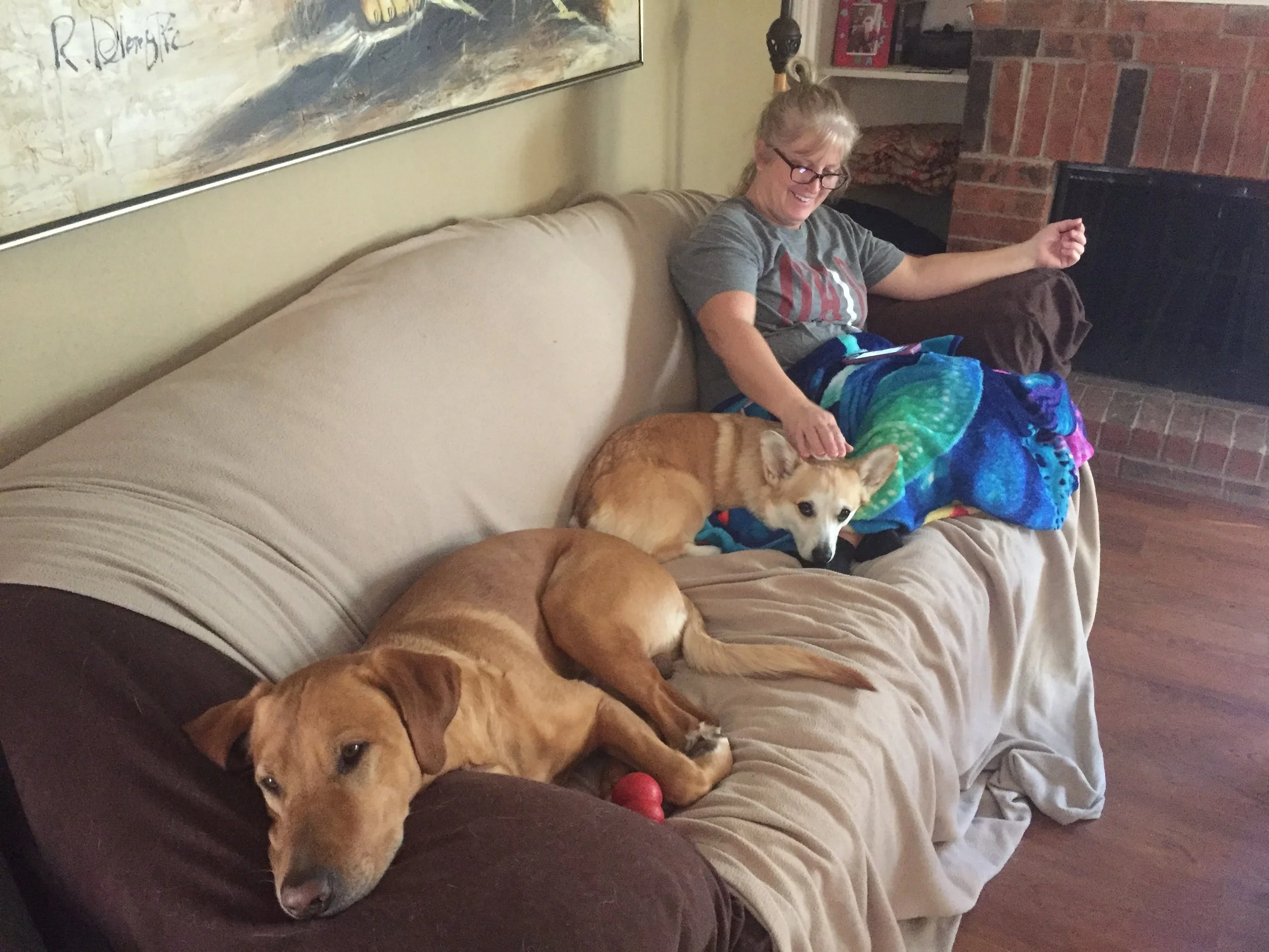 These dogs are mildly obsessed with their "Granny"