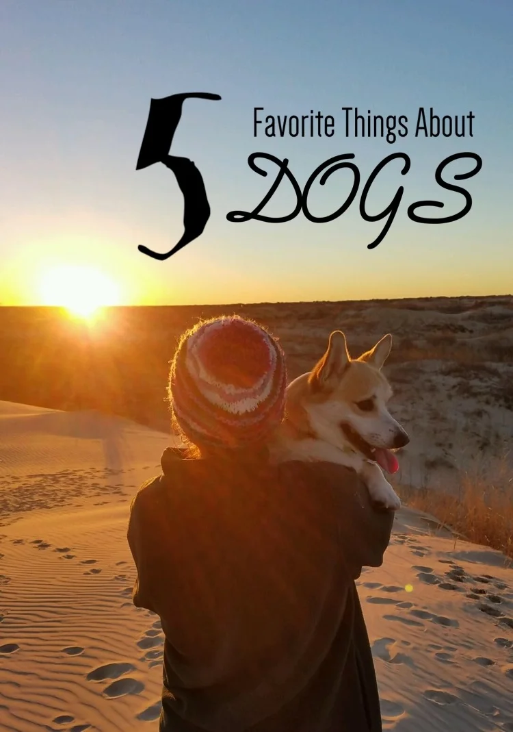 Friday Favorites, January: Dog Edition