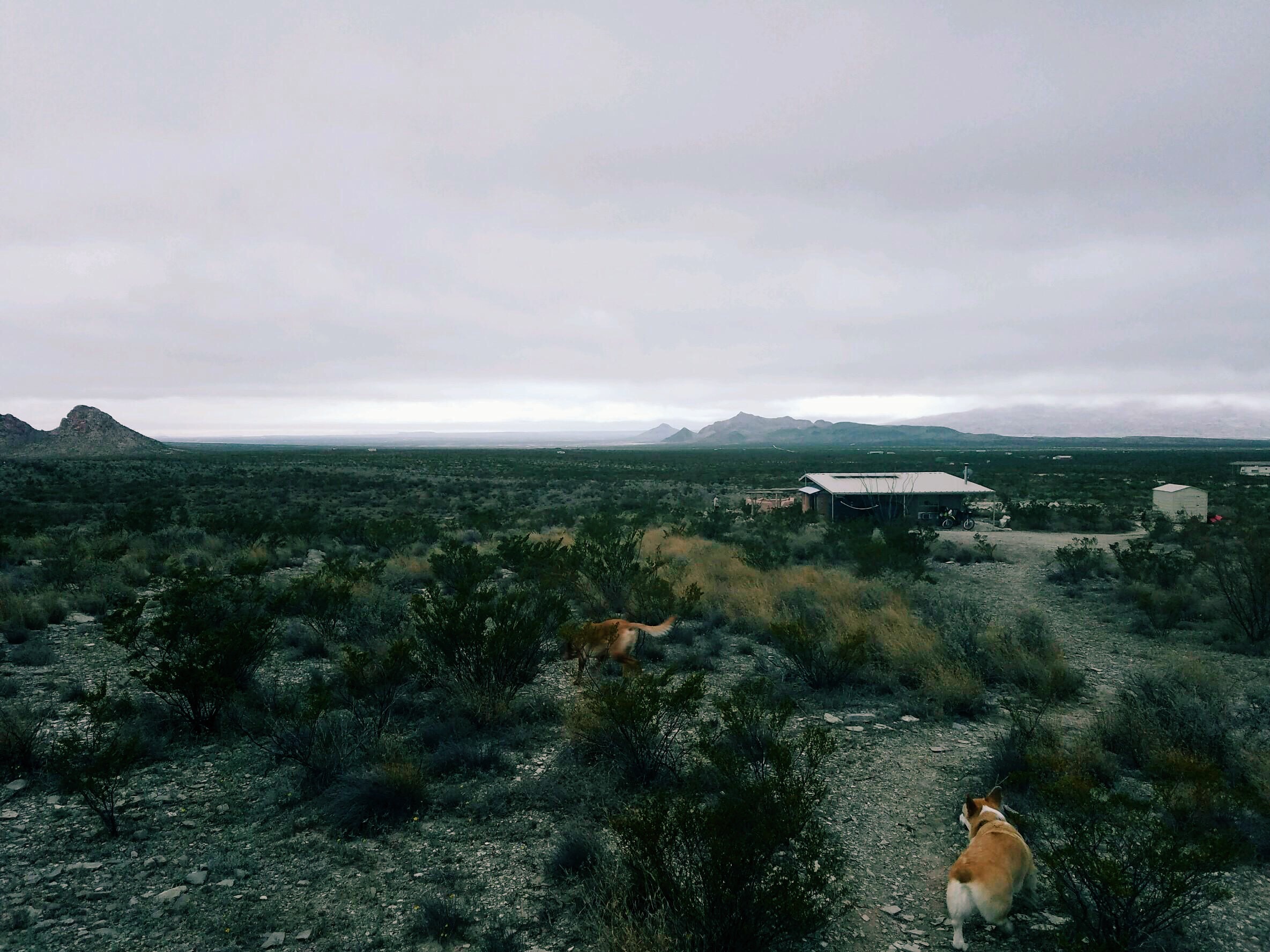 Earth Bag house near Terlingua, TX