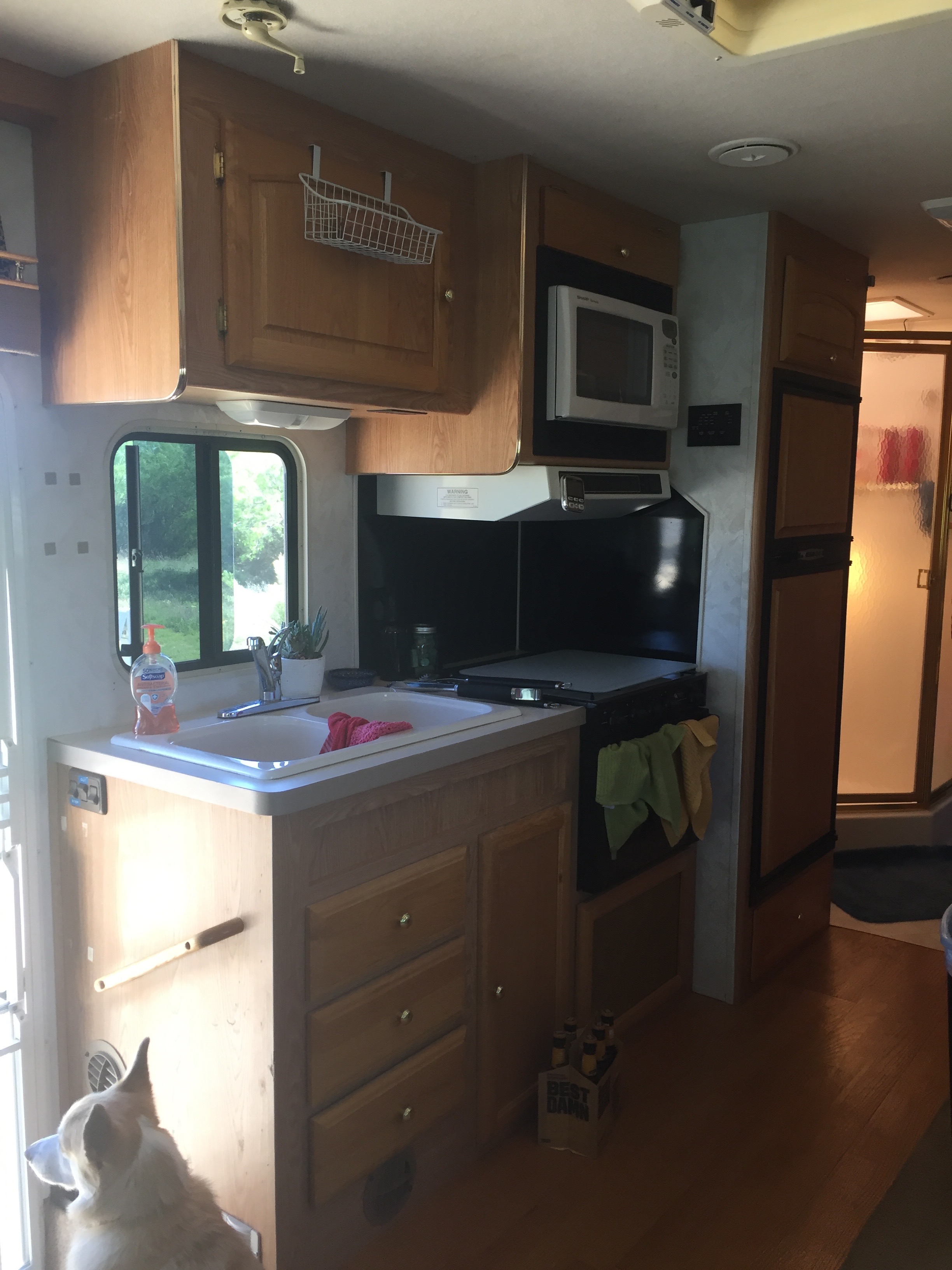 tiny kitchen (plus a tiny dog) 