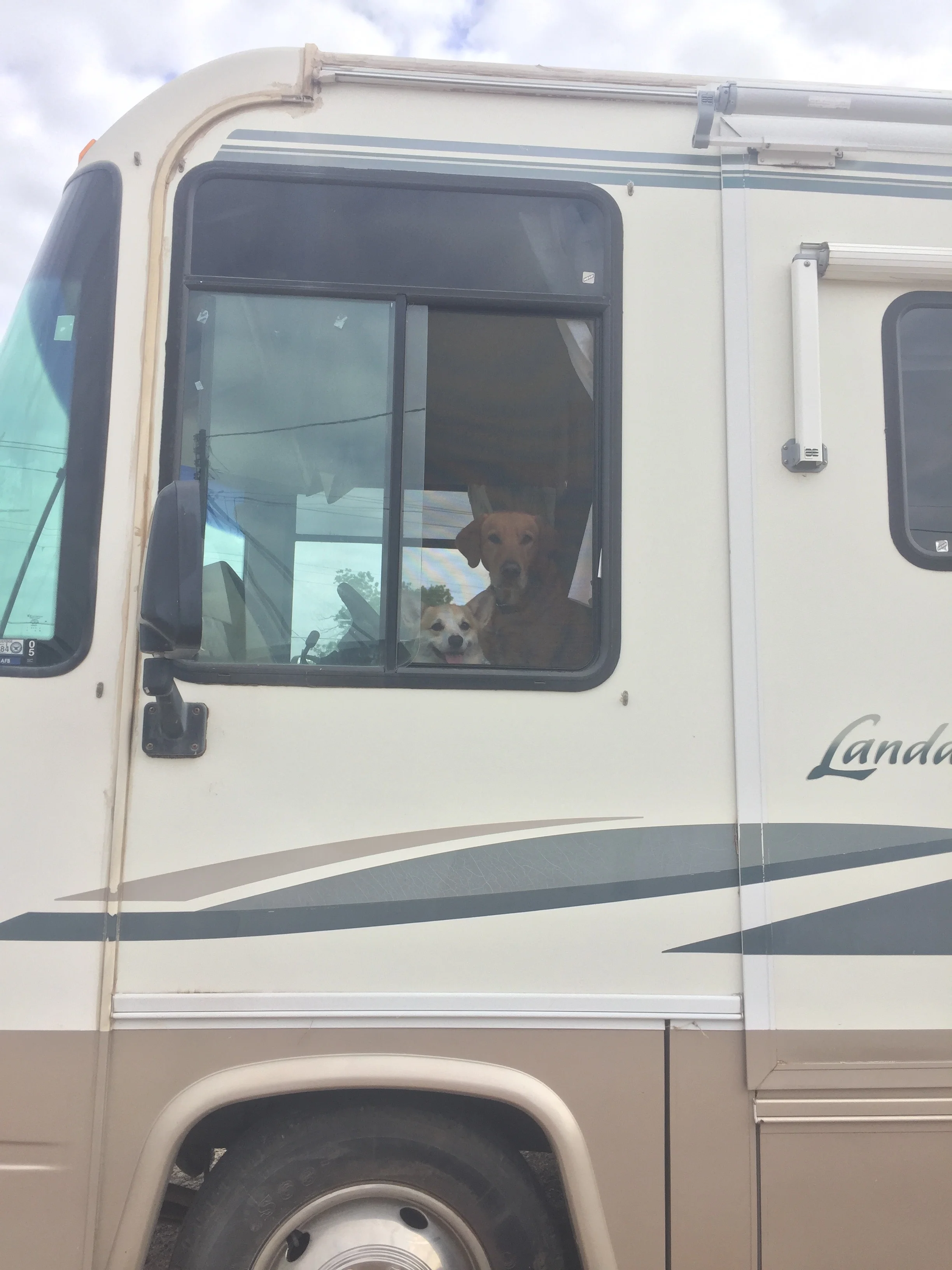 Headed home to OH a little over a month after getting George. The boys already approved of our new "house-on-wheels"