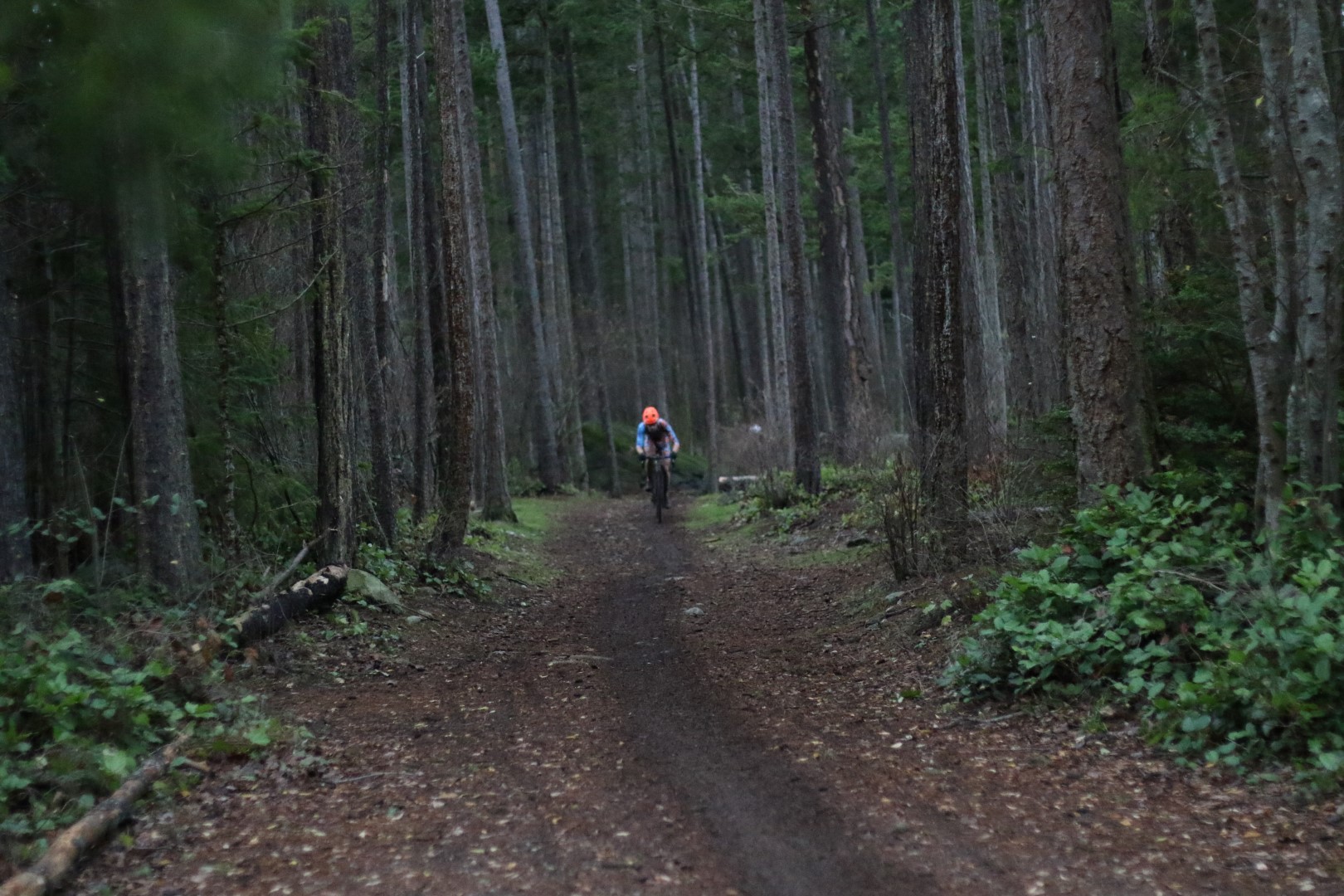 PDXTI-2017-CX-NWCX-CUP-6 (21).JPG