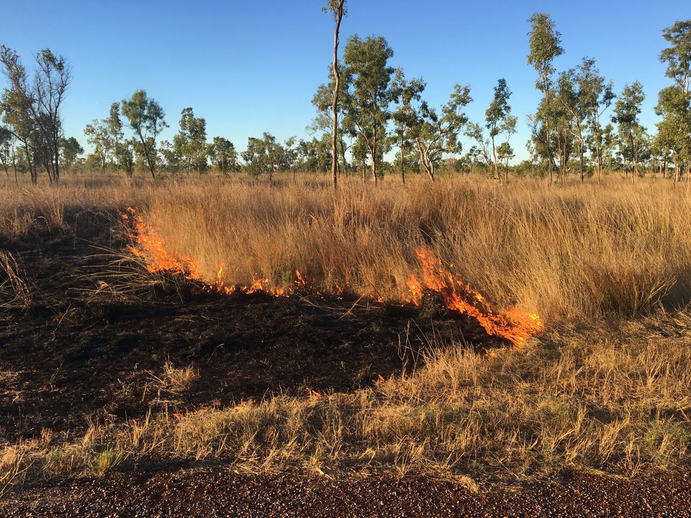 Bush fire