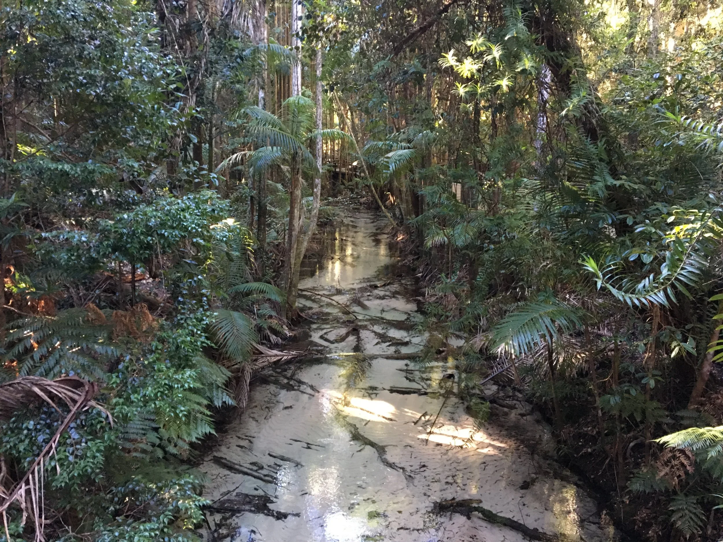 Wanggoolba Creek