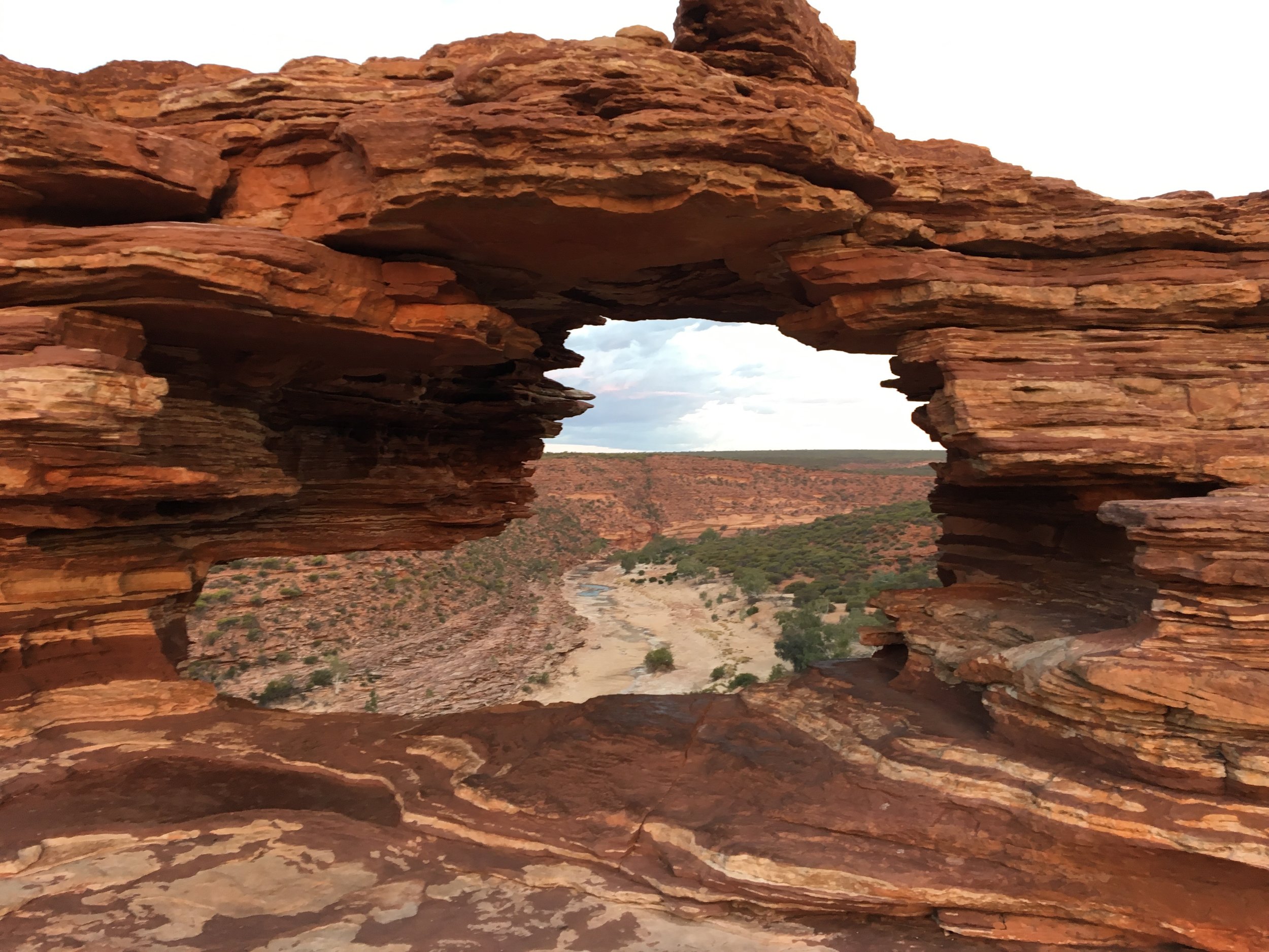 Nature's Window
