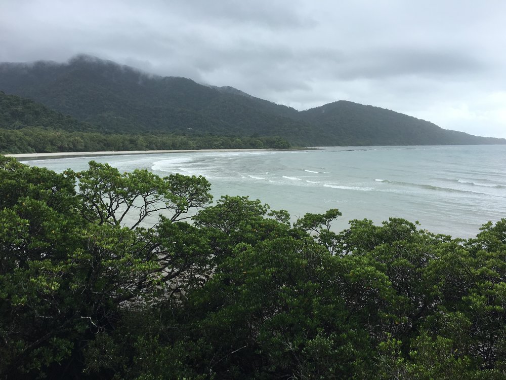 Cape Tribulation