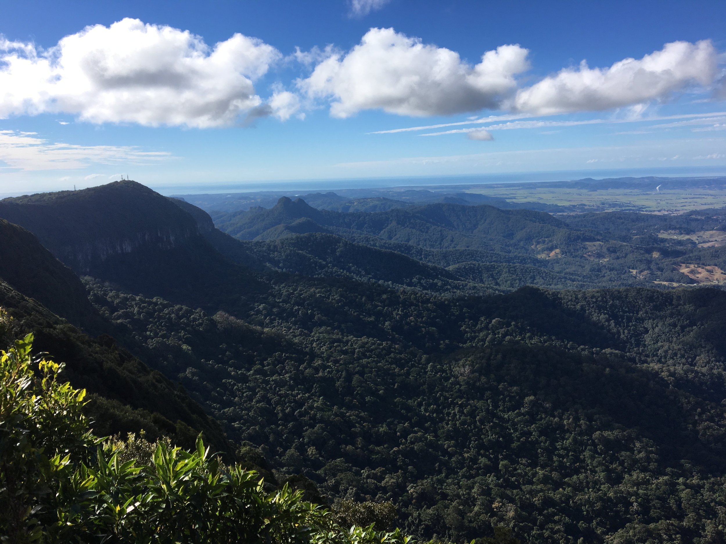 Springbrook National Park