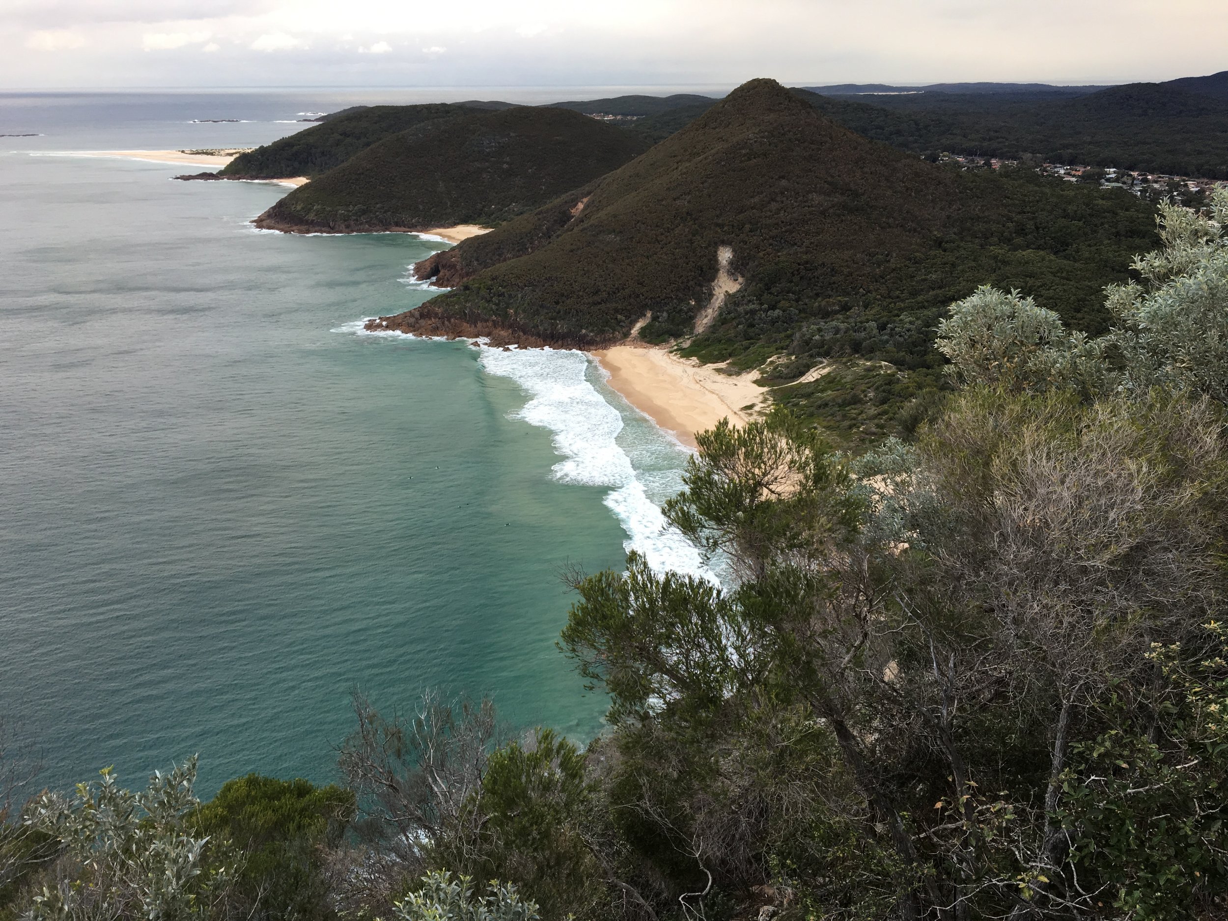 Mount Tomaree