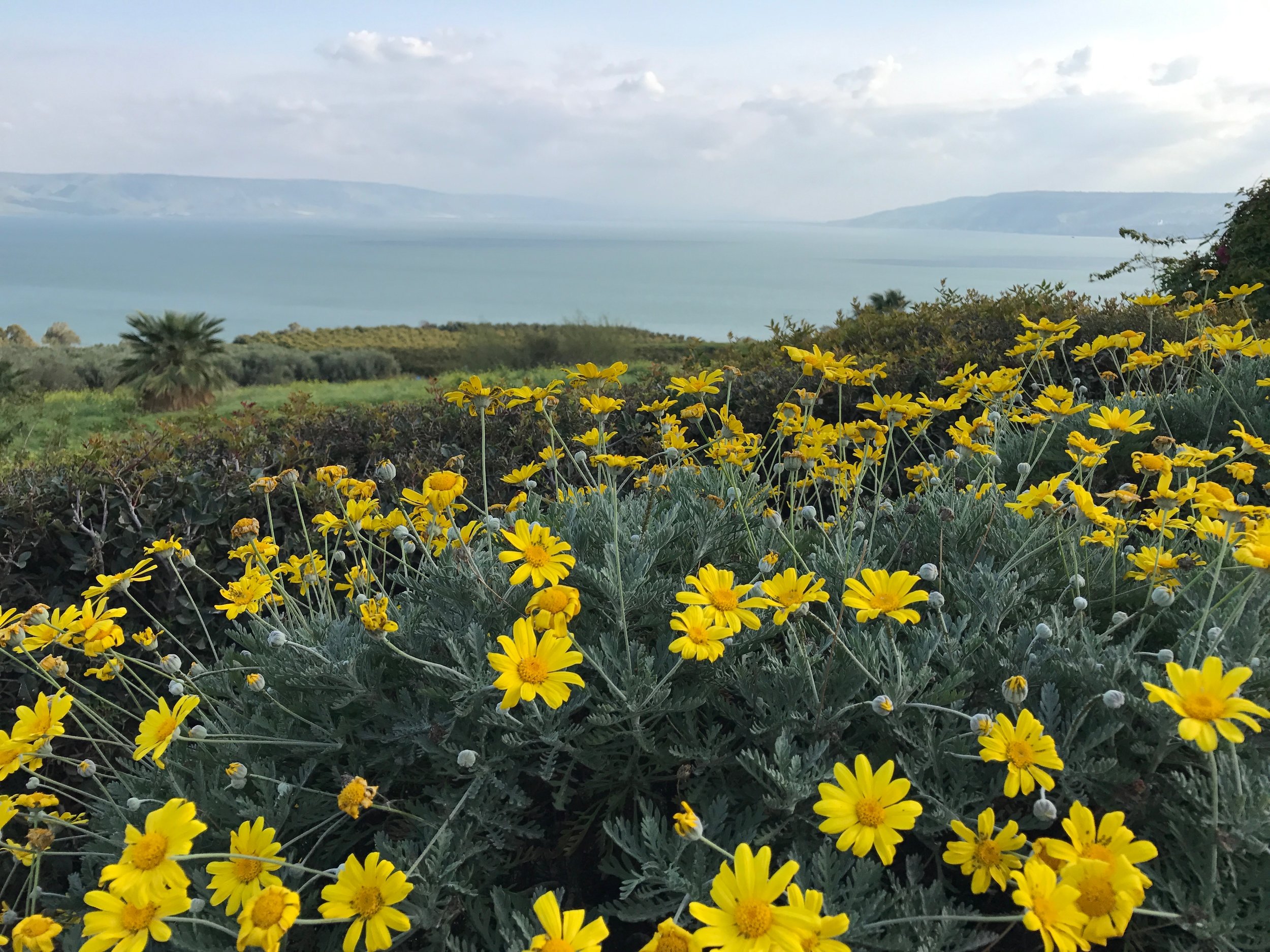 The Sea of ​​Galilee