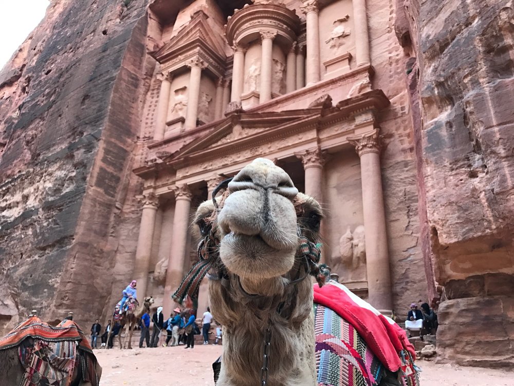 Raise yourself Pacific Islands Badly Travel to Jordan: Petra, Wadi Rum, and Aqaba — secret-travel.guide