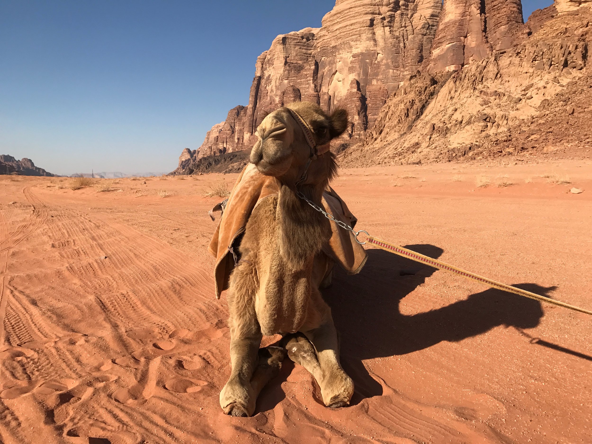 Wadi Rum
