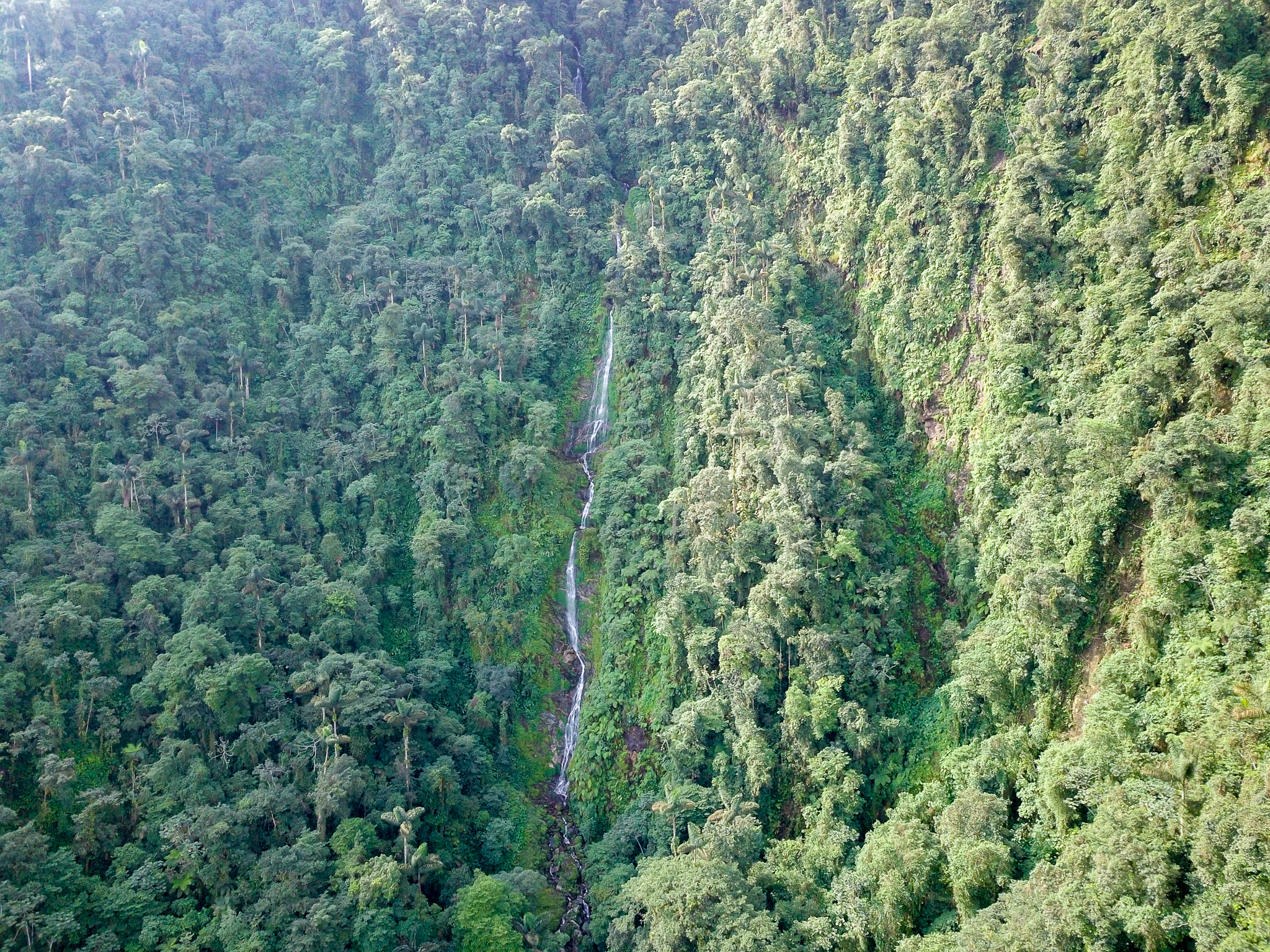 Waterfall Lost city.jpg