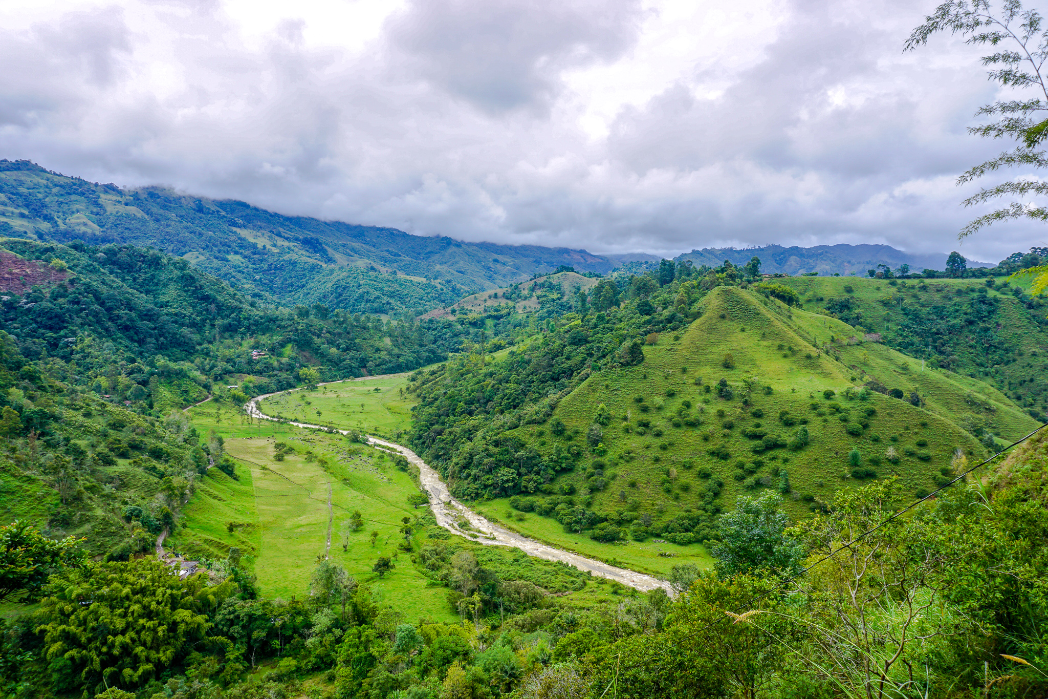 Salento countryside.jpg