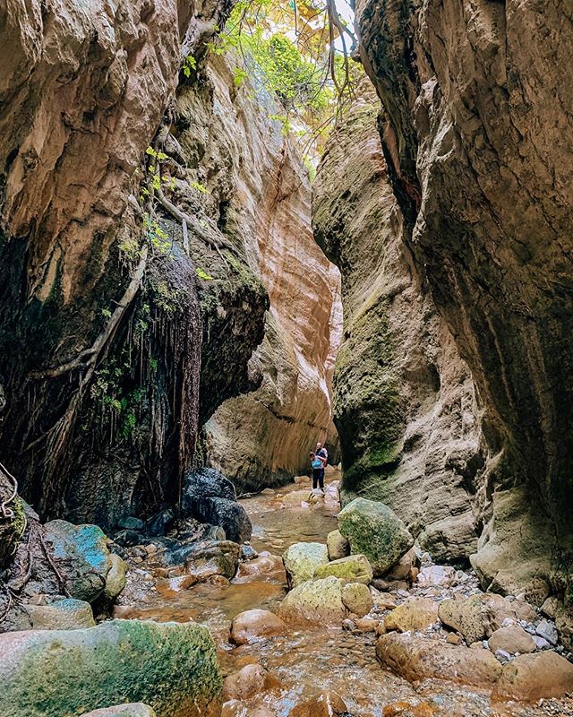 Exploring the Avakas Gorge 😍
Deep inside the canyon, you can spot rare flowers, reptiles, and even wild goats 😊
Thats what I love about Cyprus, the country is so diverse, mountains, gorges, awesome beaches, what do you want more 😍
.
.
.
.
#cyprus 