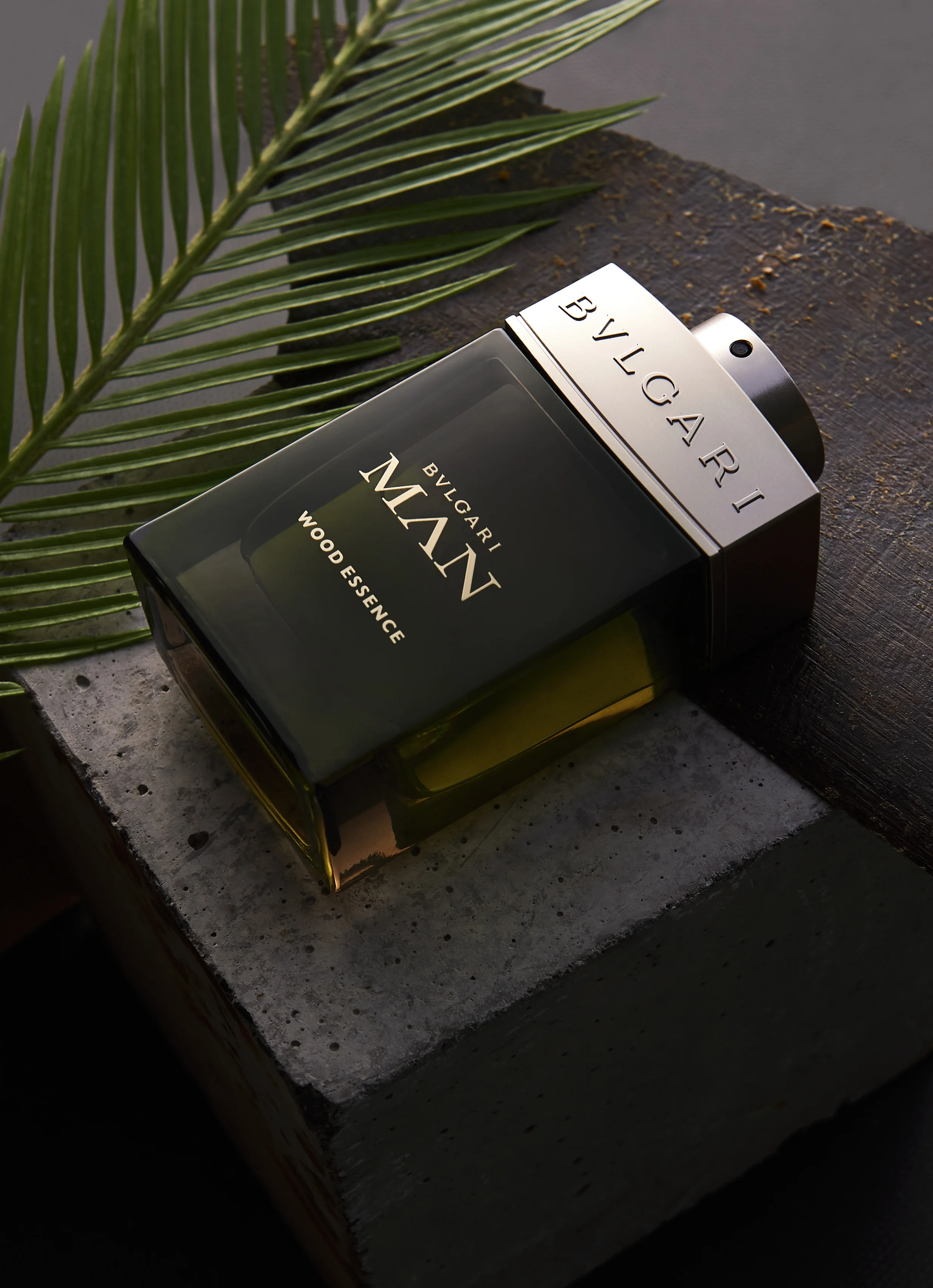 jogn brown day 388364.jpg