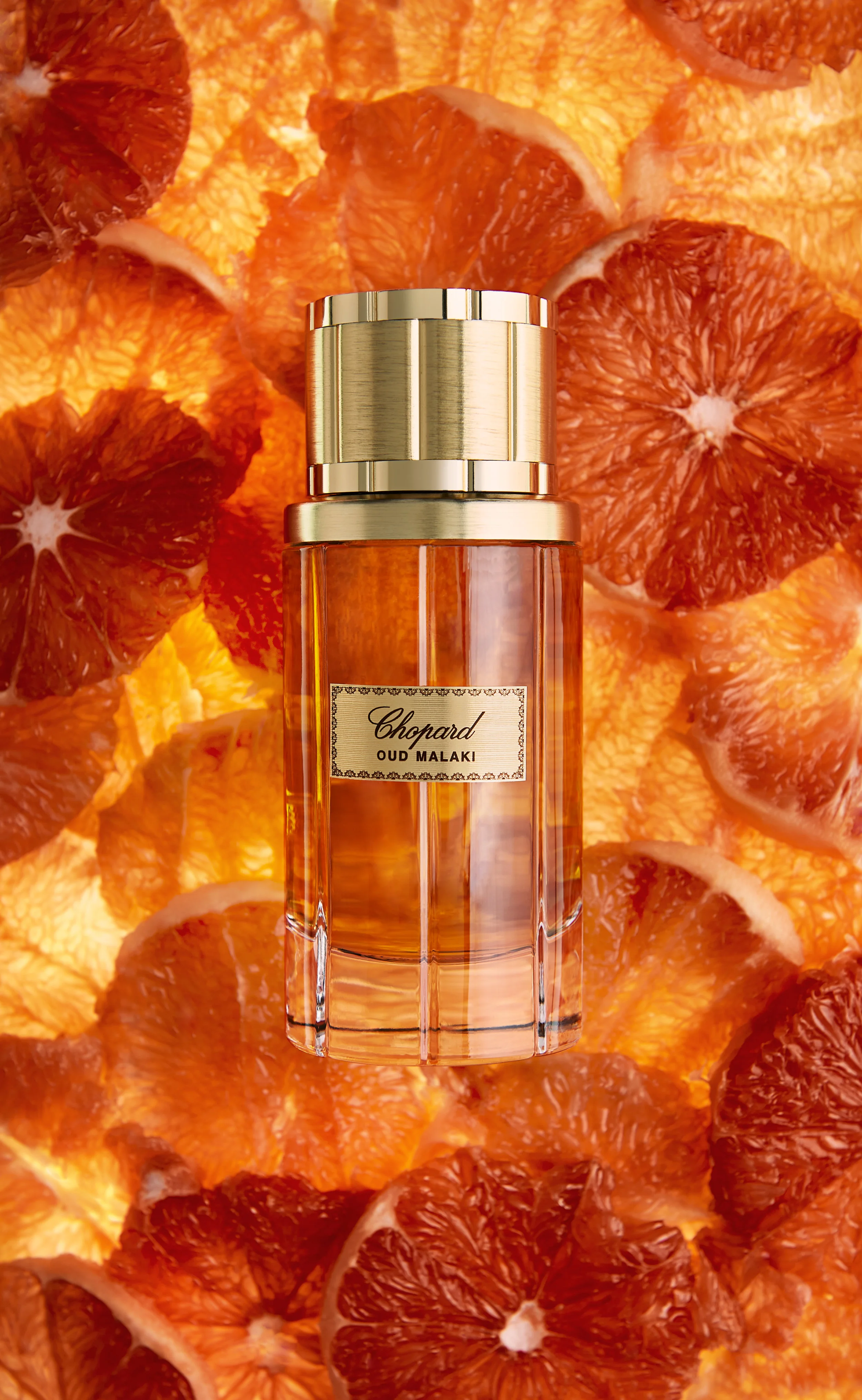 DDF REVAMP111368.jpg