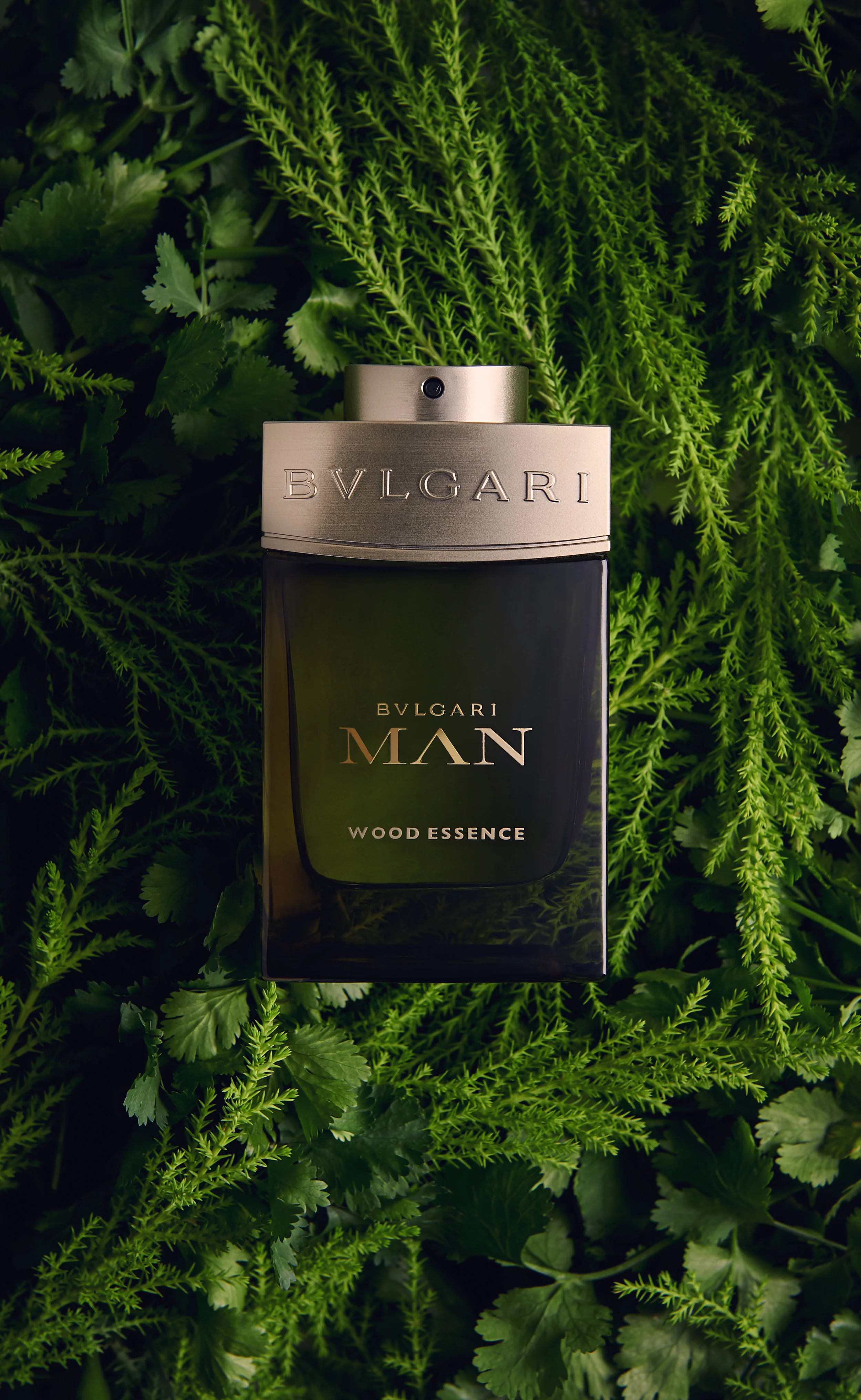 DDF REVAMP111407.jpg