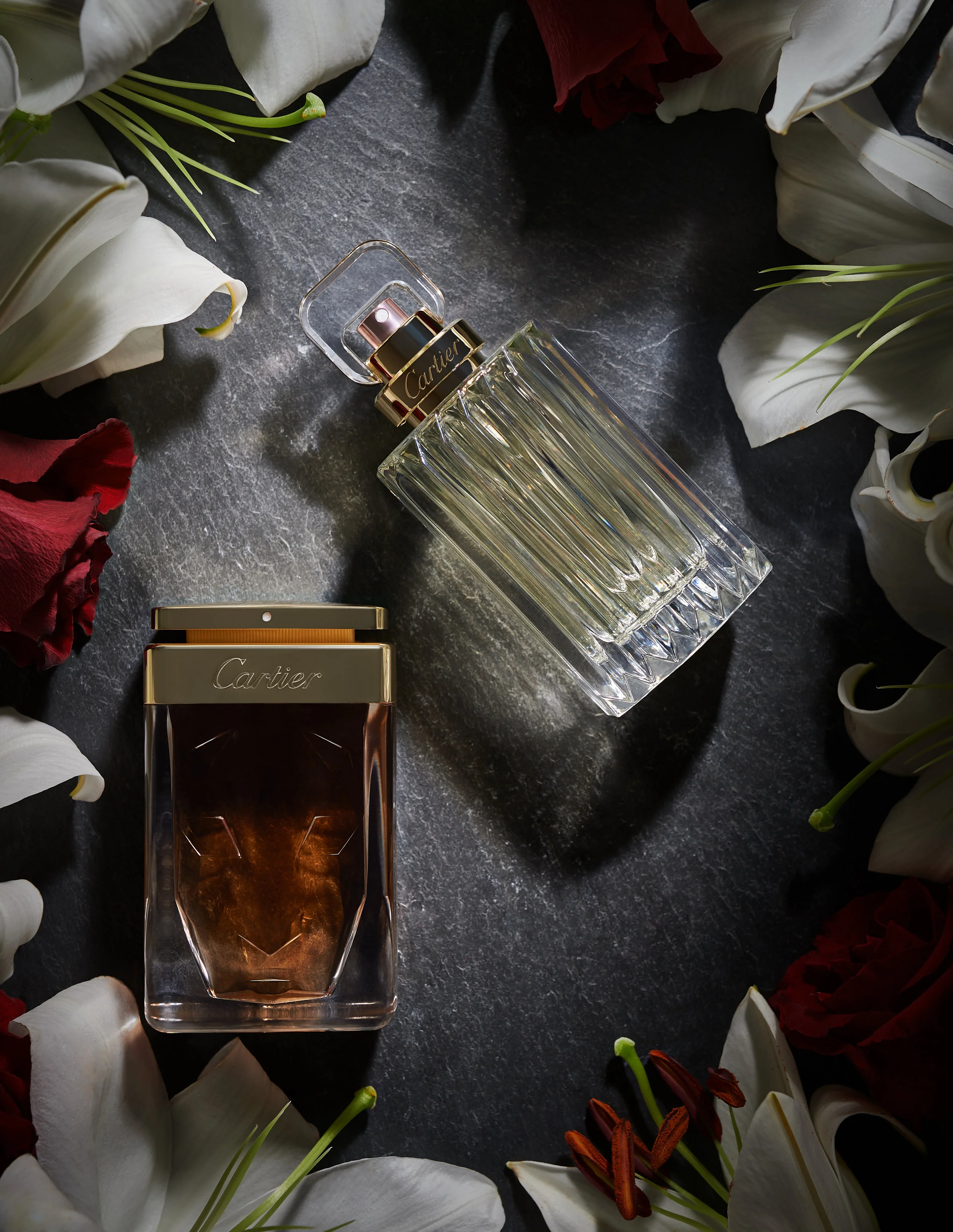 DDF REVAMP111955.jpg